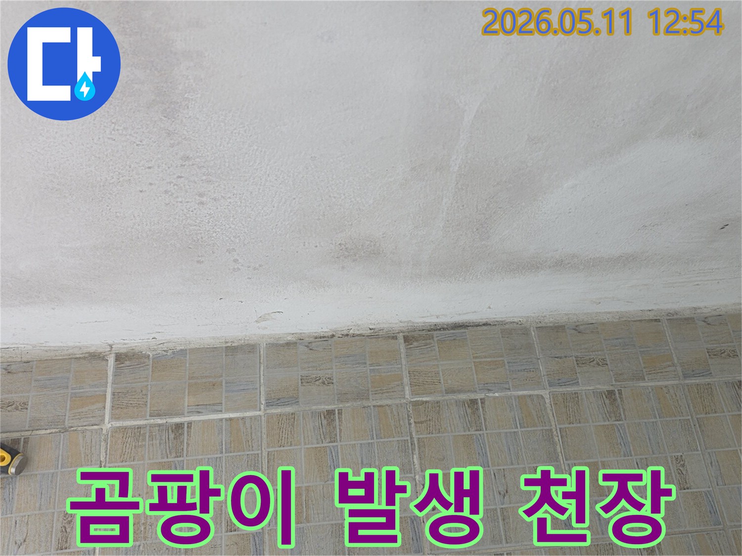곰팡이가-생기기-시작한-천장과-타일-벽면의-경계선을-보여주는-클로즈업-사진