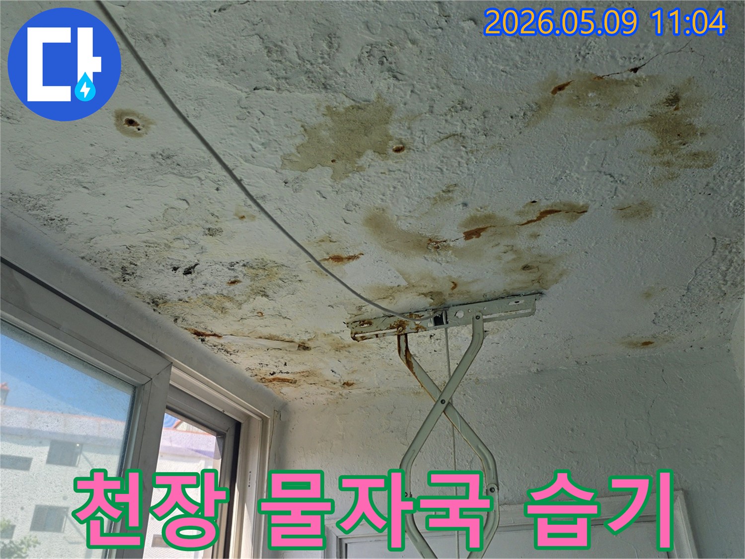 천장에 발생한 누수-물자국과 높은 습기는-전문적인 진단과-보수가 시급함을 보여줍니다