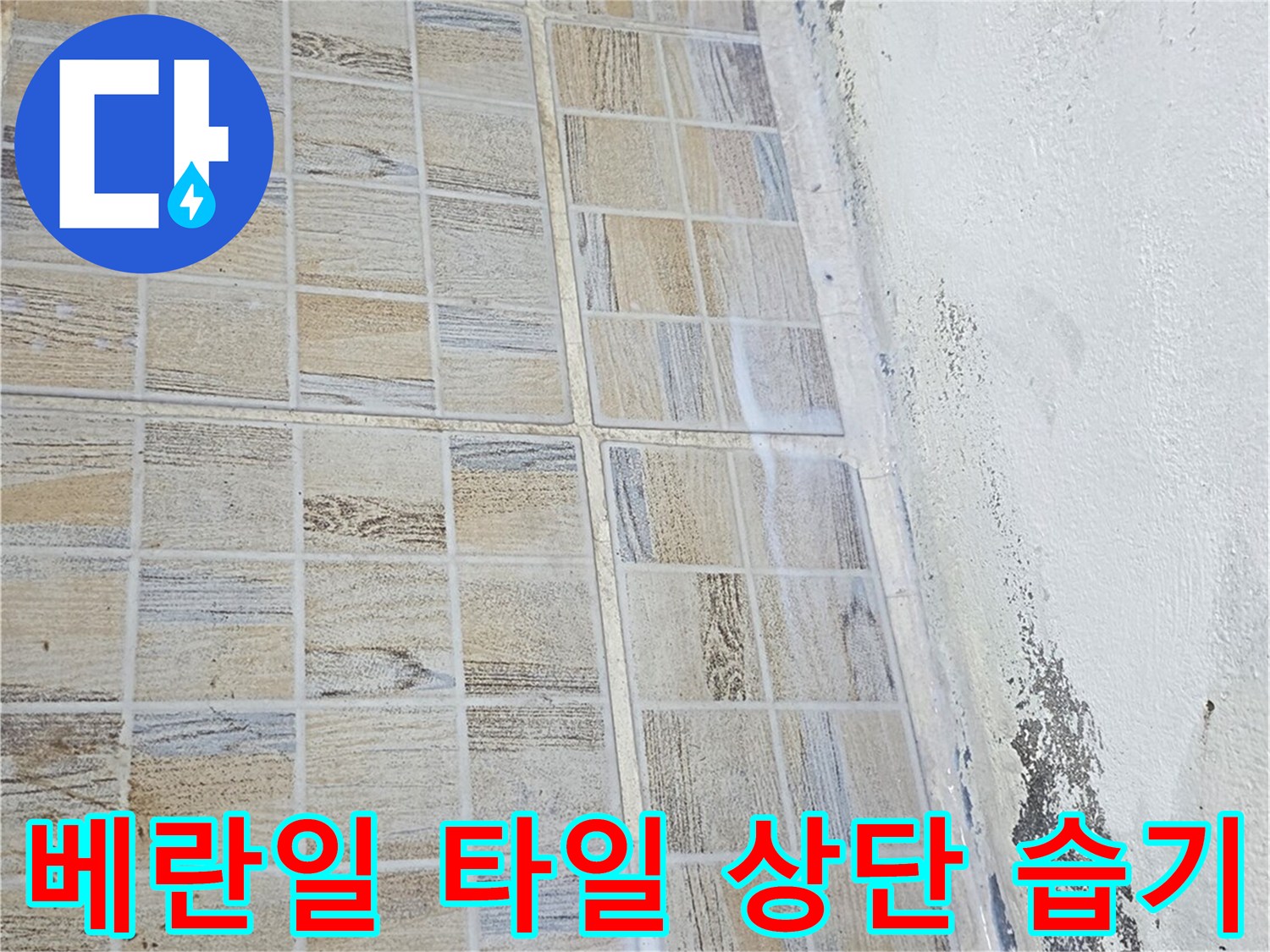 타일 사이 줄눈과 천장 접합부의 젖은 흔적 및 오염 부위