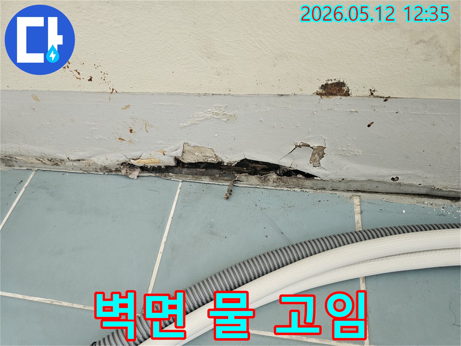 벽과-타일-경계면에서-발생한-심각한-누수-피해로-페인트가-벗겨지고-벽면이-손상된-모습