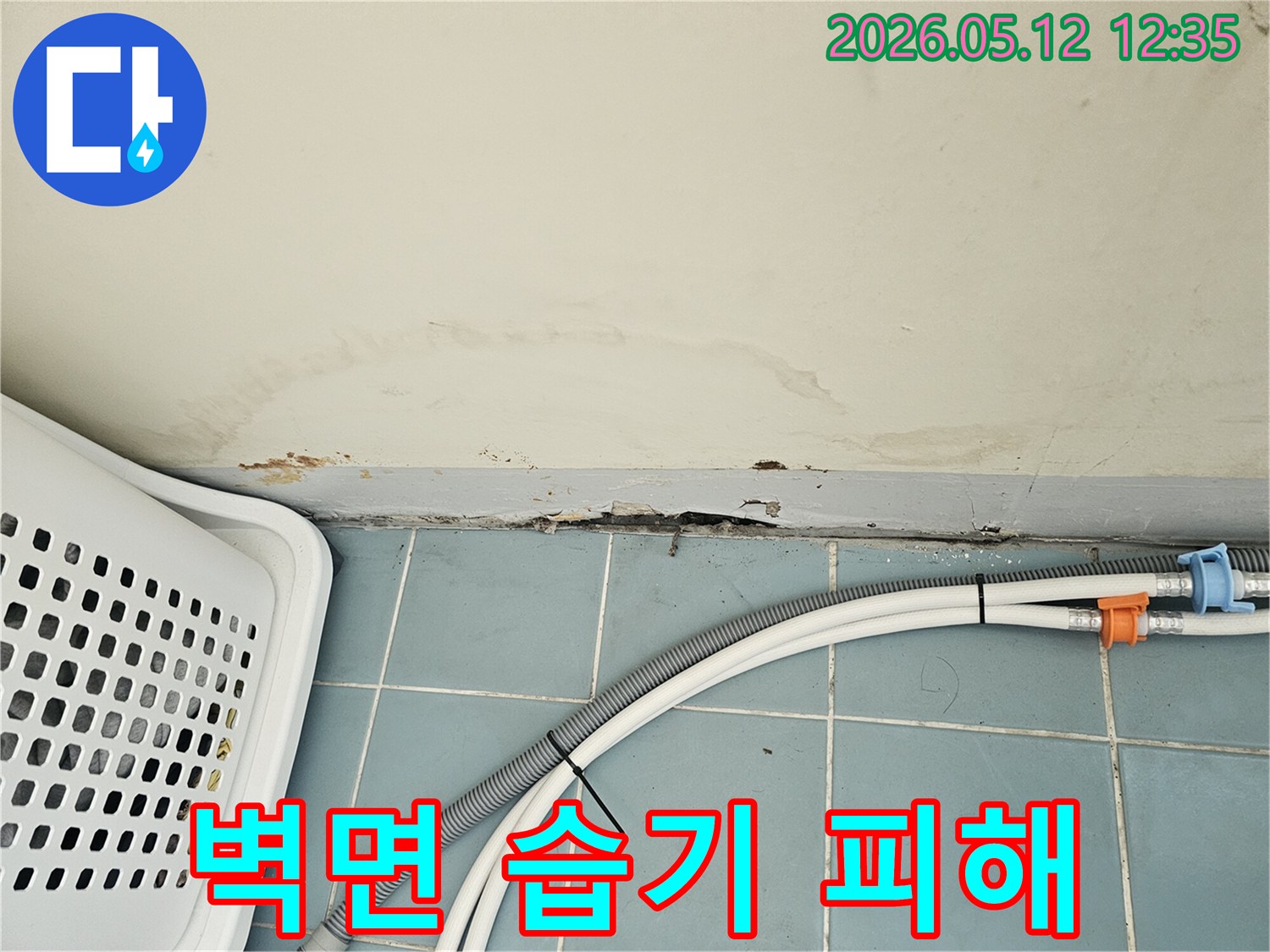 세탁실 벽 하단에 스며든 물기로 인한 벽지 손상-곰팡이 발생-배수 호스 주변의 습기 흔적