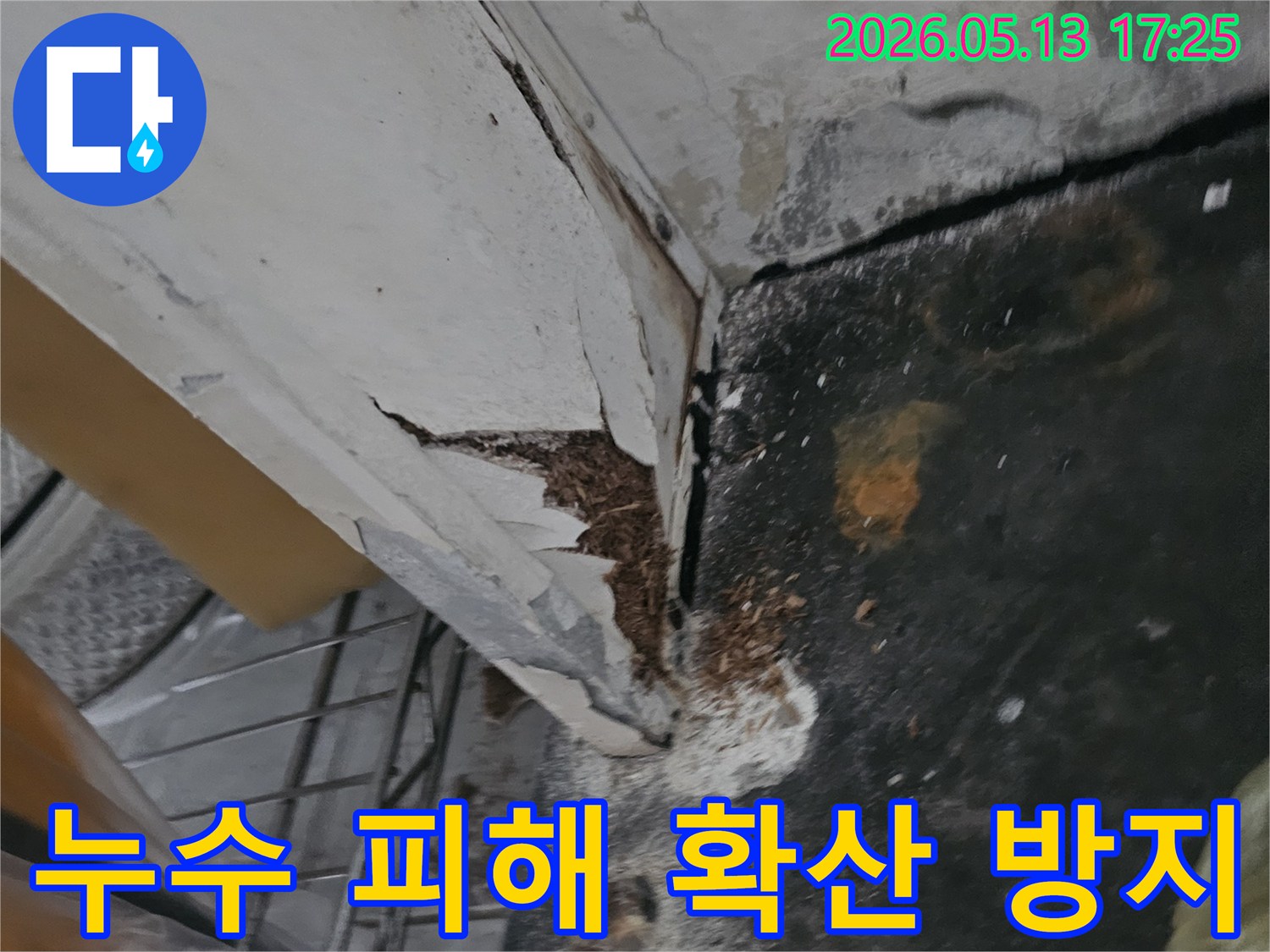 천장 누수로 인해 벽면 페인트가 벗겨지고-얼룩과 곰팡이가 발생한 심각한 현장입니다-누수 피해 확산 방지를 위한 신속한 조치가 필요합니다