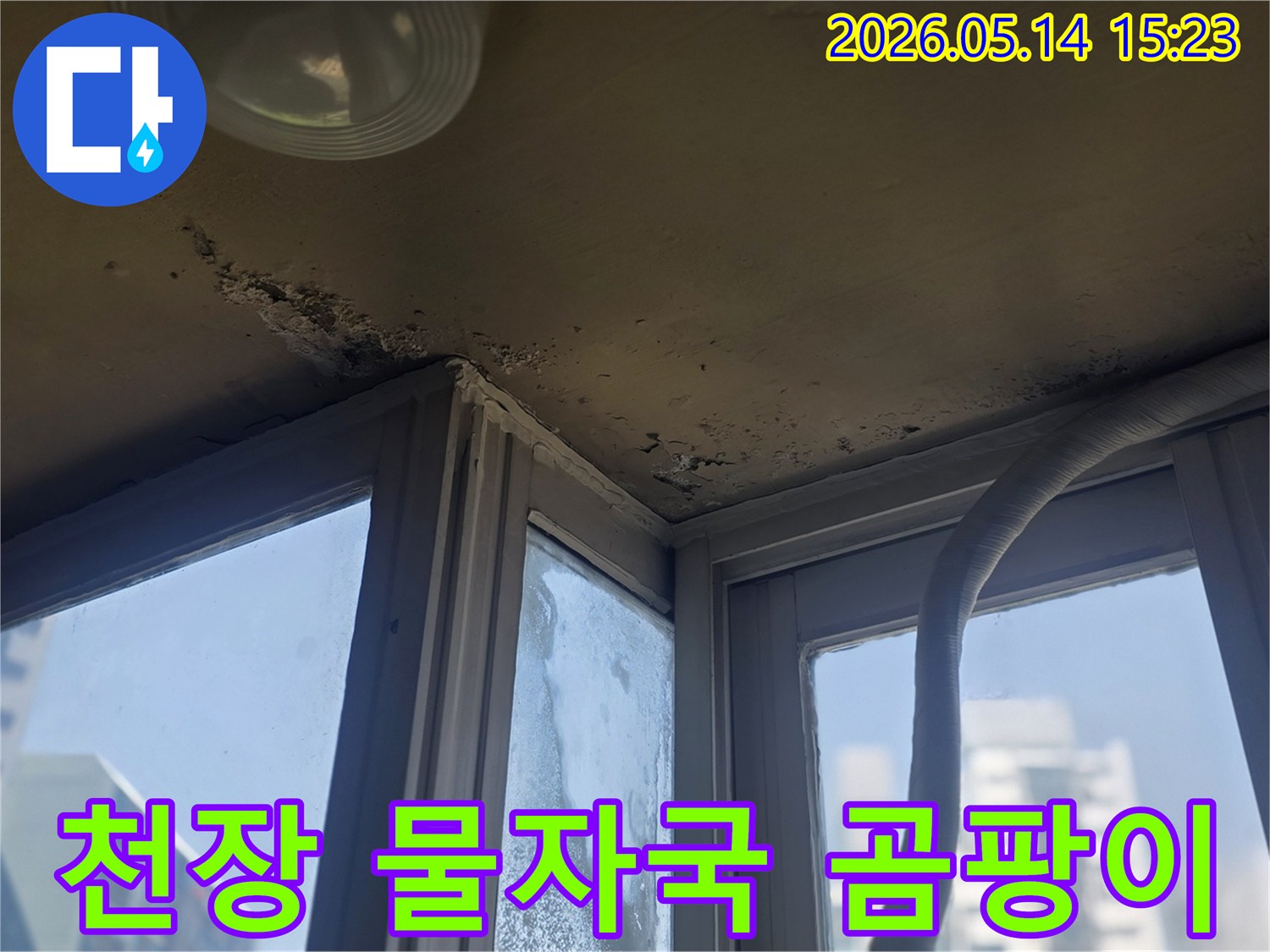 천장에 선명하게 남은 물자국과- 그 주변에 번식한 곰팡이를 보여주는 사진입니다