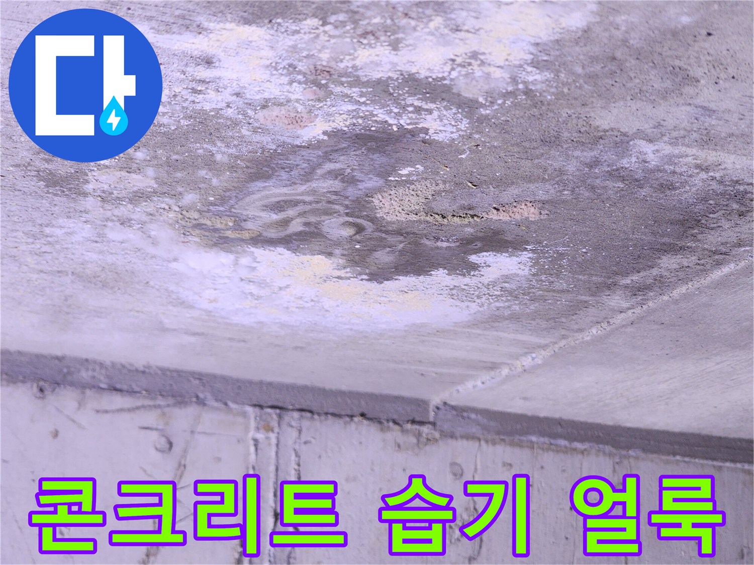 천장 콘크리트 면에-발생한 물샘 흔적과 오염 부위