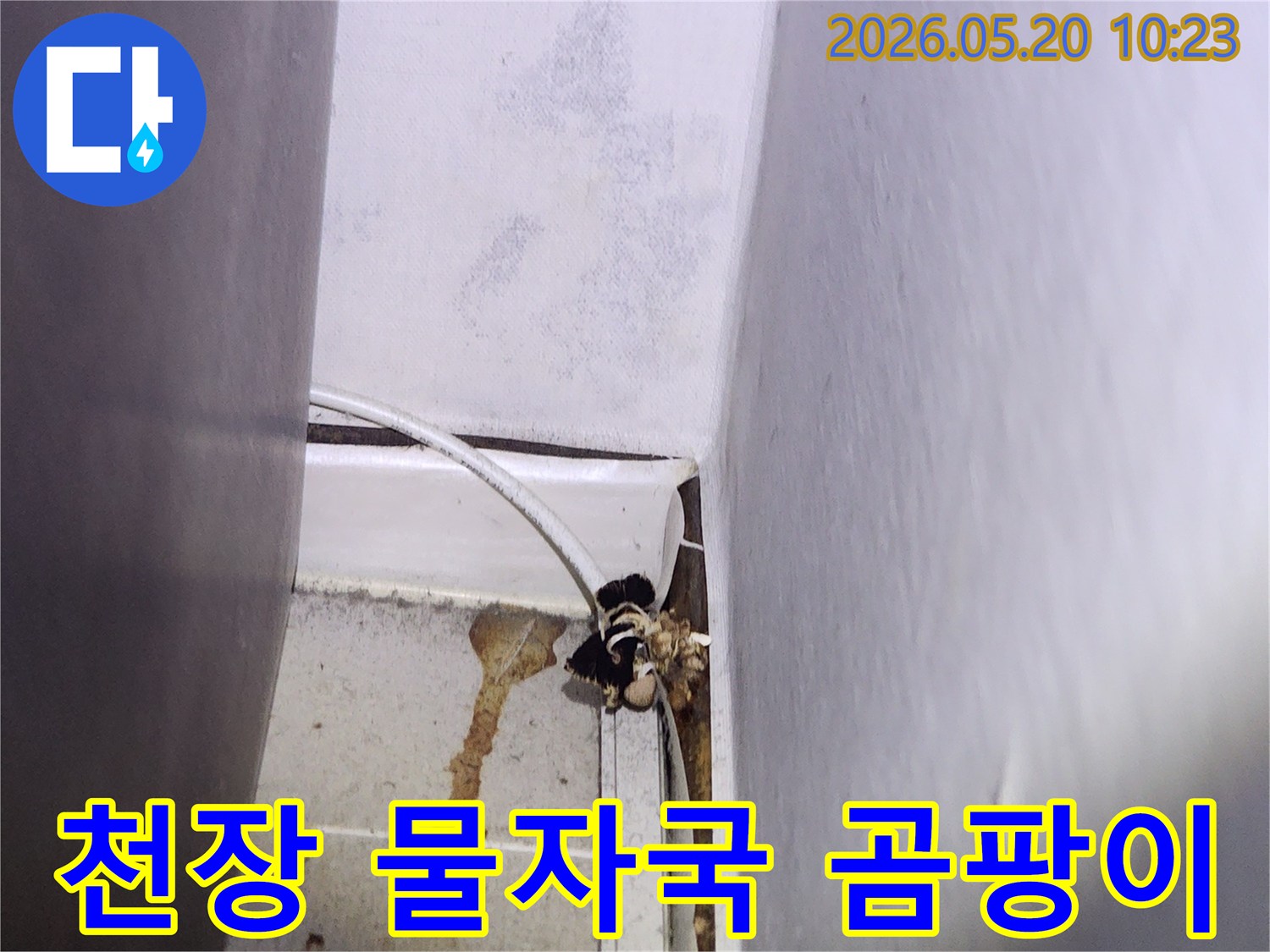 천장과-벽면의-모서리에서-누수로-인한-물자국과-곰팡이가-선명하게-보이는-현장-사진입니다