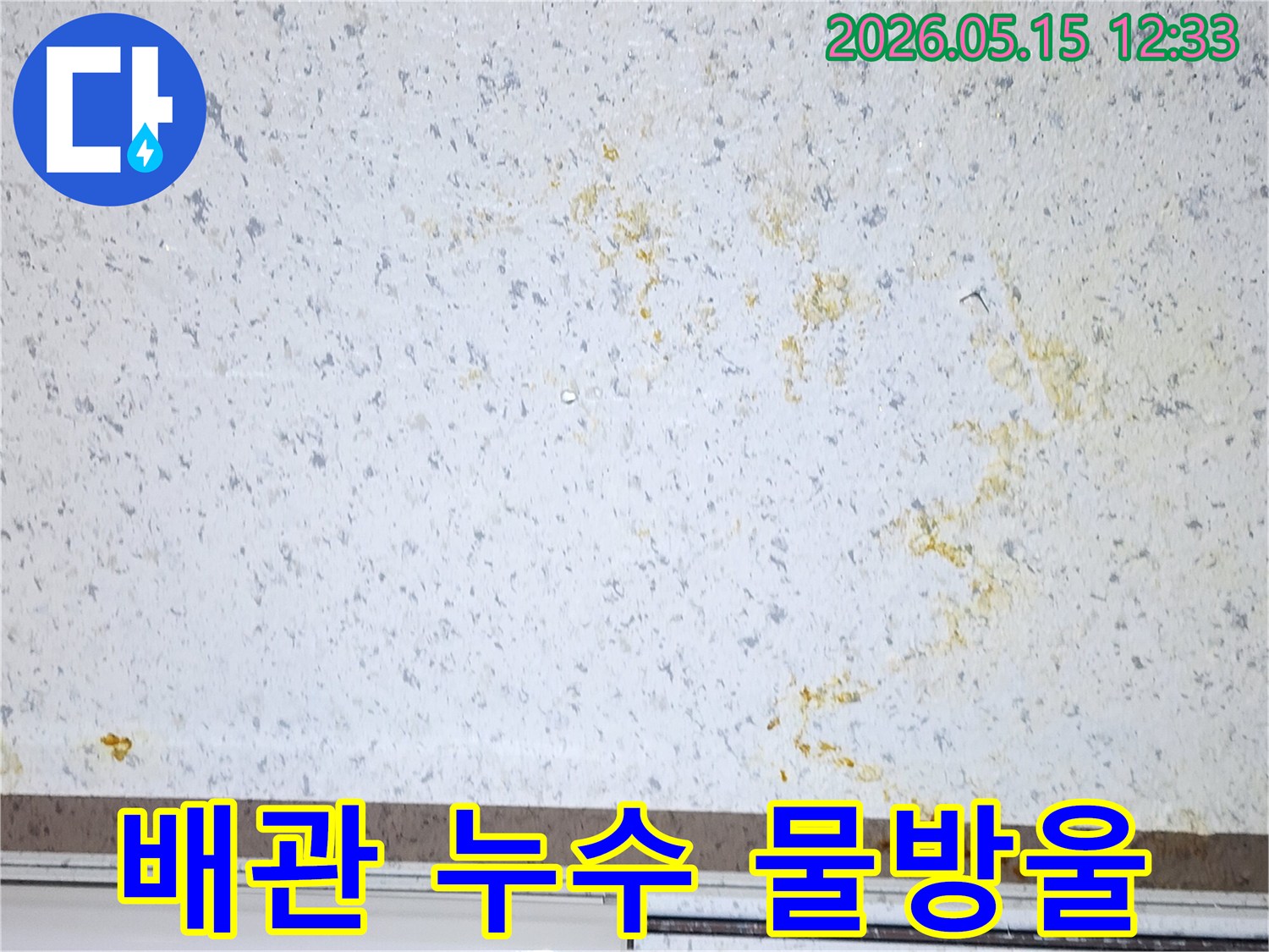 천장에서-물이-떨어지는-배관-누수-현장-정밀-탐지-후-배관-교체-필요