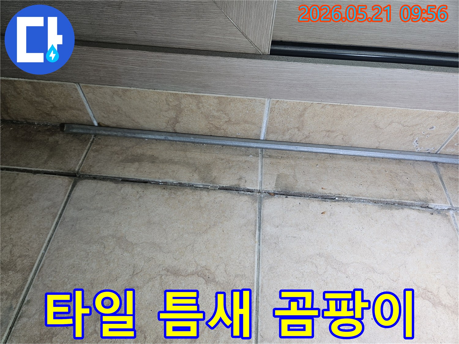 바닥-타일-틈새에-생긴-검은색-곰팡이를-보여주며-누수-가능성을-시사하는-현장-사진