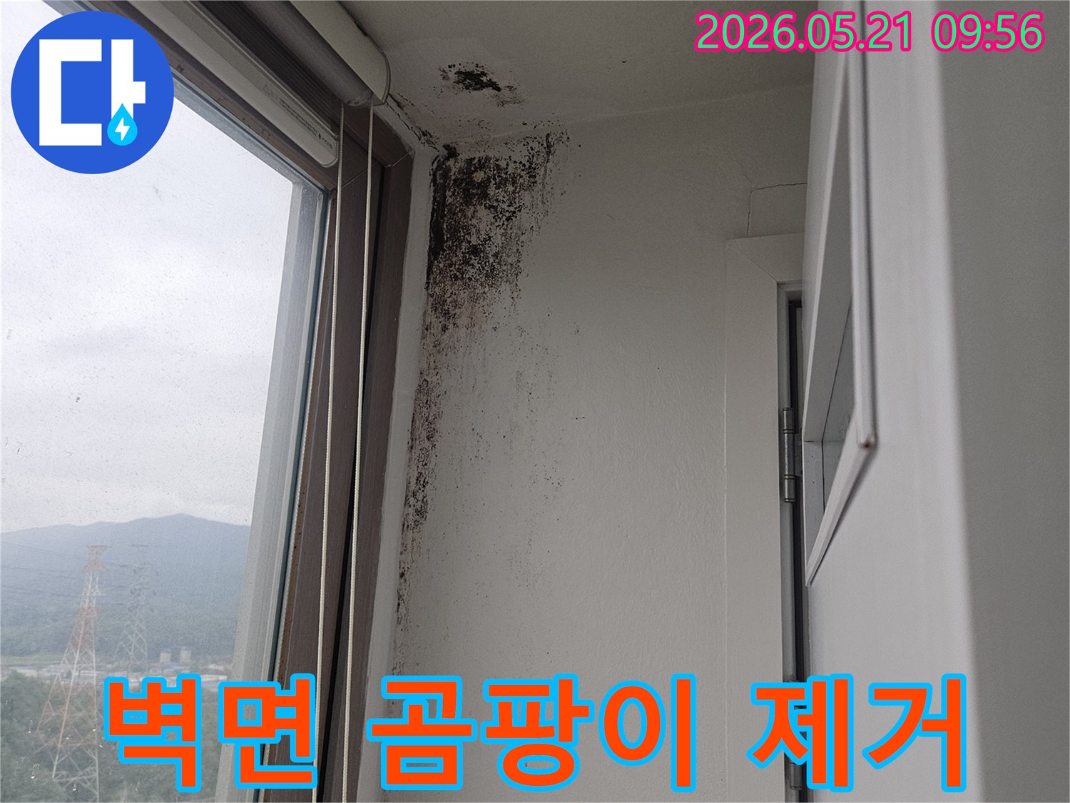 창문 상단 벽과 천장 모서리에 심각하게 번식한-검은 곰팡이-습기-누수-피해 현장