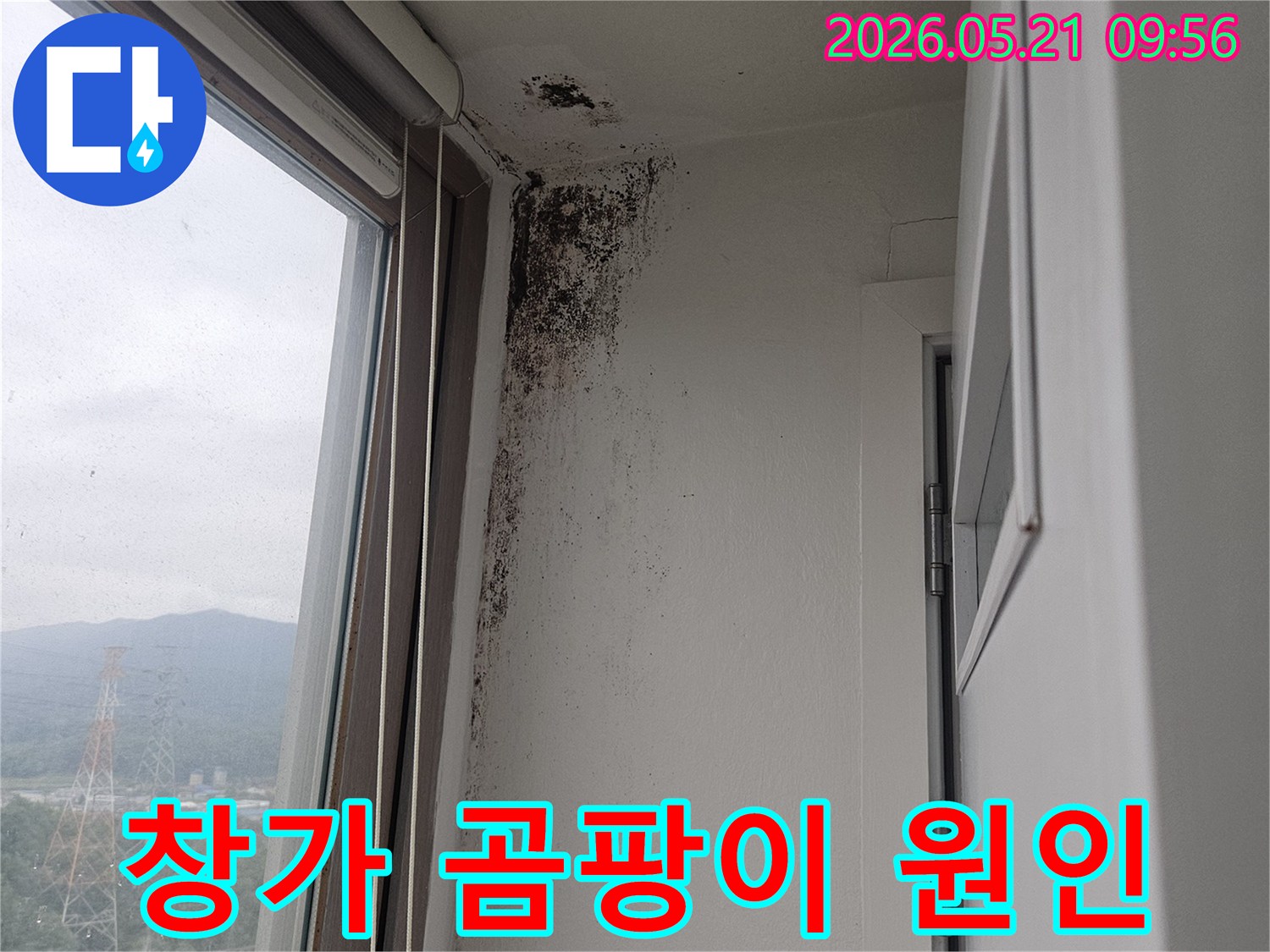 창문 상단 벽과 천장 모서리에 심각하게 번식한-검은 곰팡이-습기-누수-피해 현장