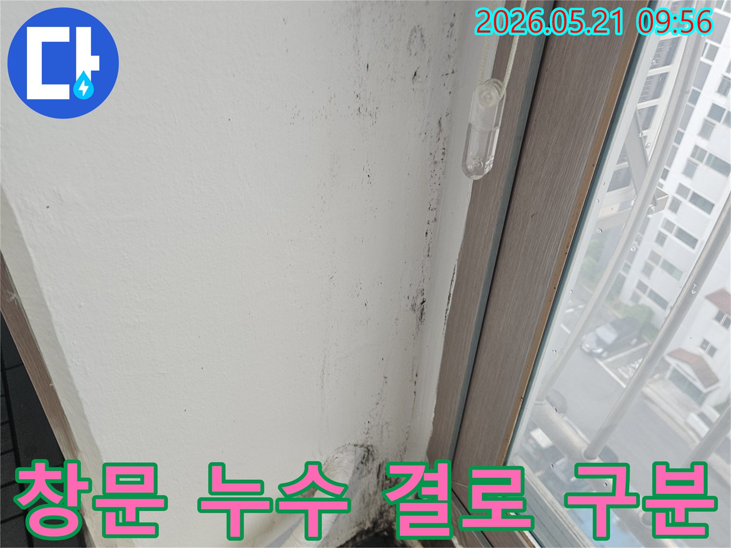 창문-주변-벽면에-발생한-물자국과-곰팡이로-누수와-결로를-구분하는-현장-진단