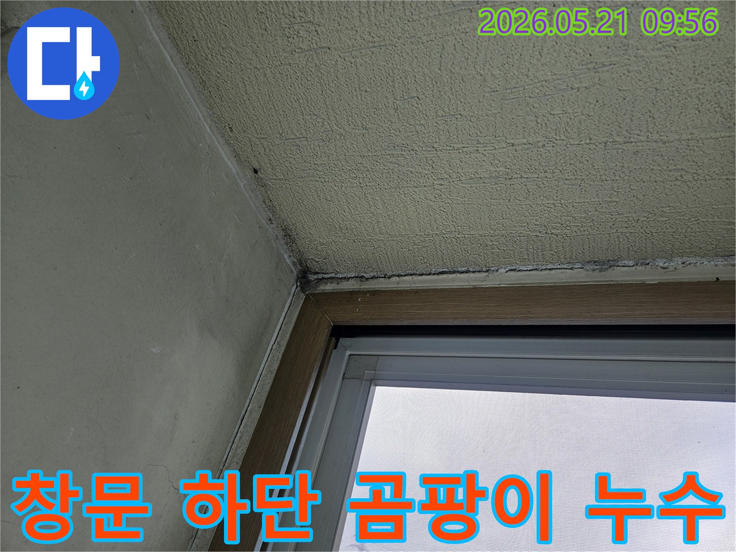 창문 하단 벽면에 발생한-검은 곰팡이와-물기로 인한 손상을 보여주는-아파트 내부 벽면의 모습
