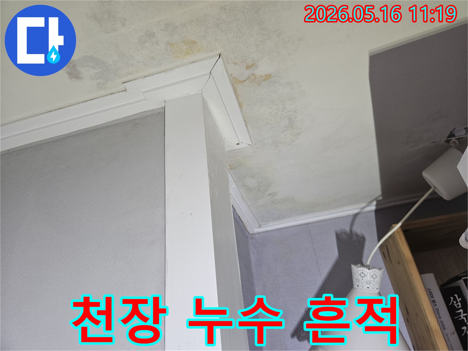 물자국과-함께-벽면-몰딩-주변으로-확산된-천장-곰팡이-문제를-명확히-보여줍니다.