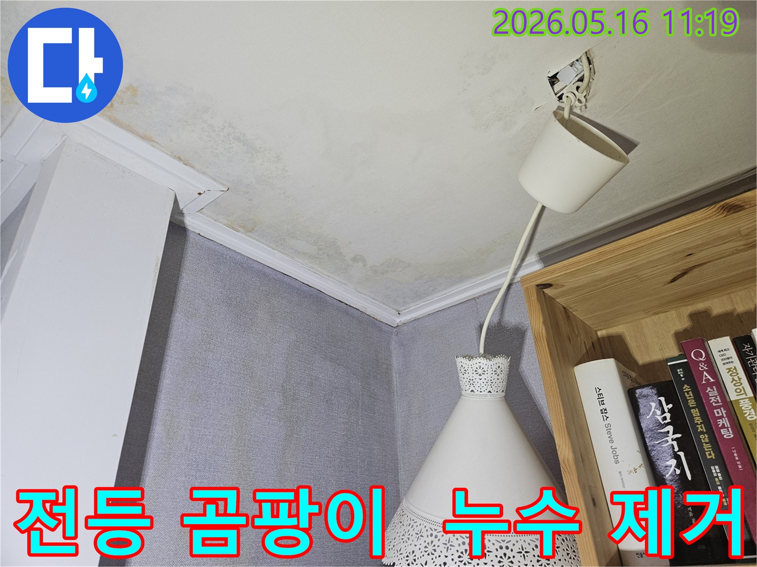 전등 주변에 곰팡이가 피고-천장에도 누수 흔적이 있는-곰팡이 제거 현장