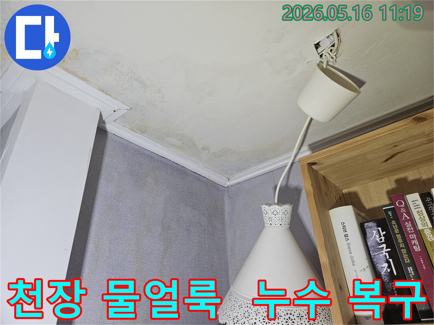 천장에 물얼룩과 곰팡이가 생긴-누수 탐지 및 복구가 필요한 현장