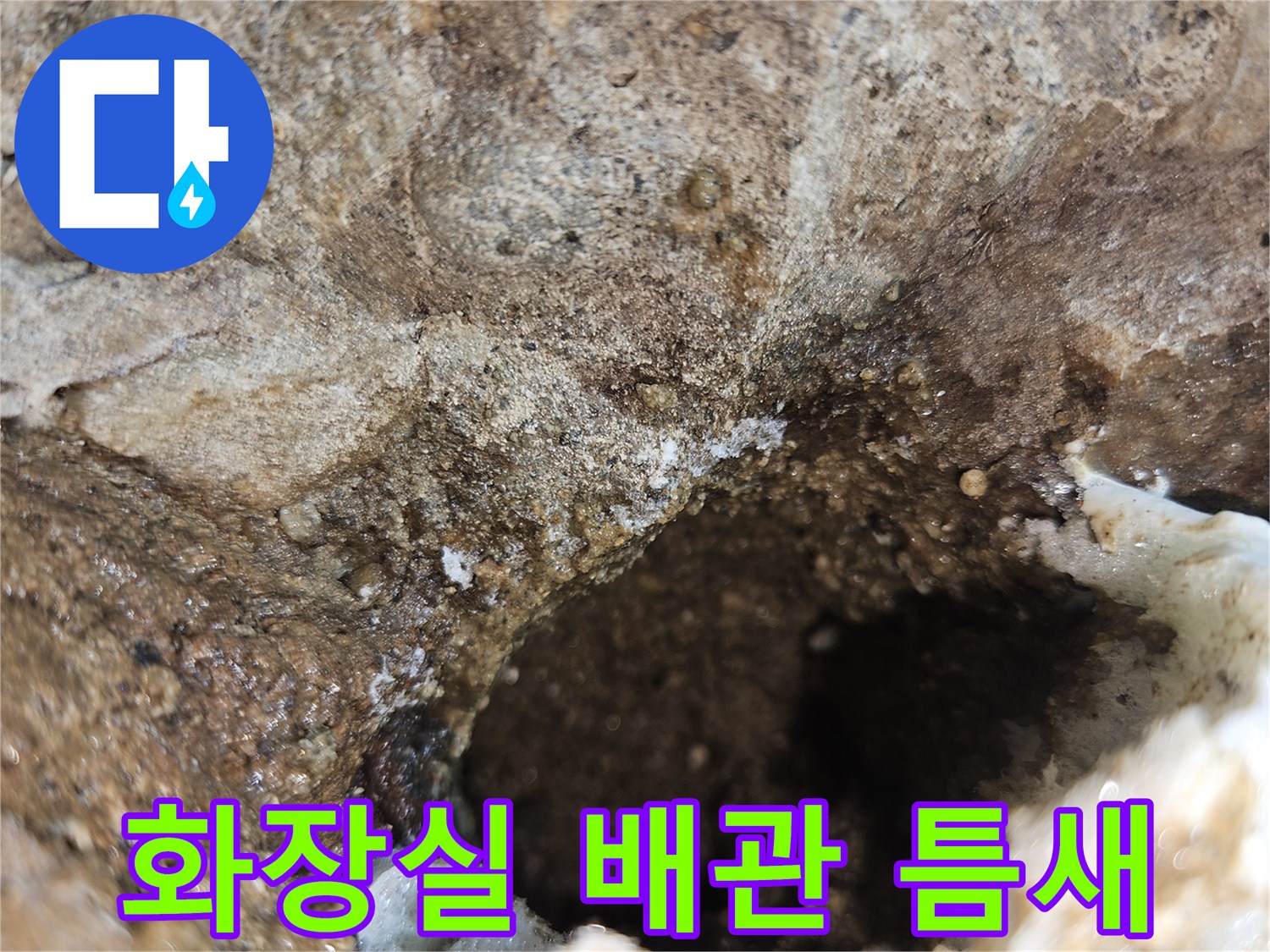 화장실-배수관-연결부위-습기-상태