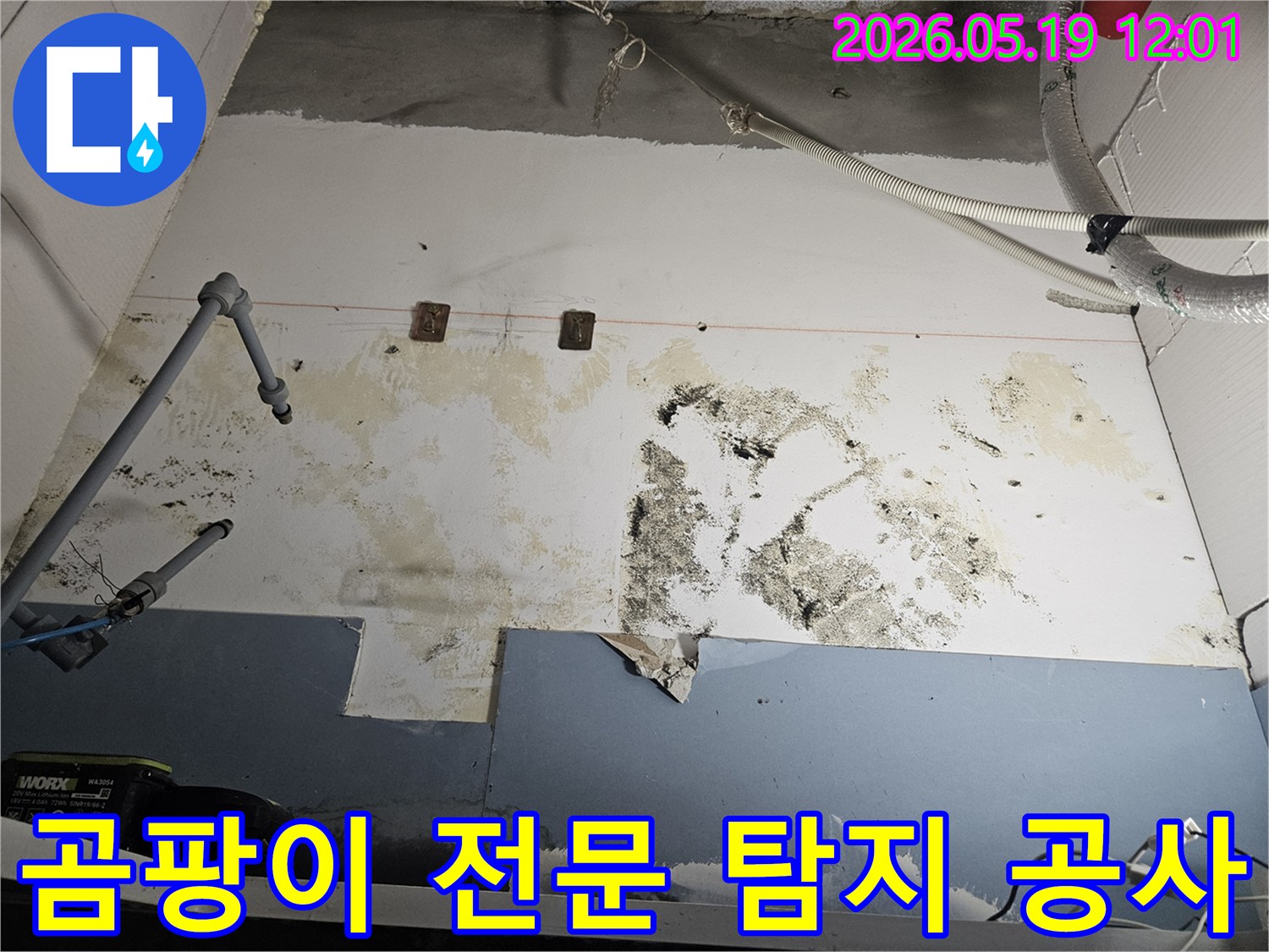 누수로-인해-벽면에-발생한-곰팡이-오염을-전문적으로-탐지하고-공사하는-과정을-설명하는-사진