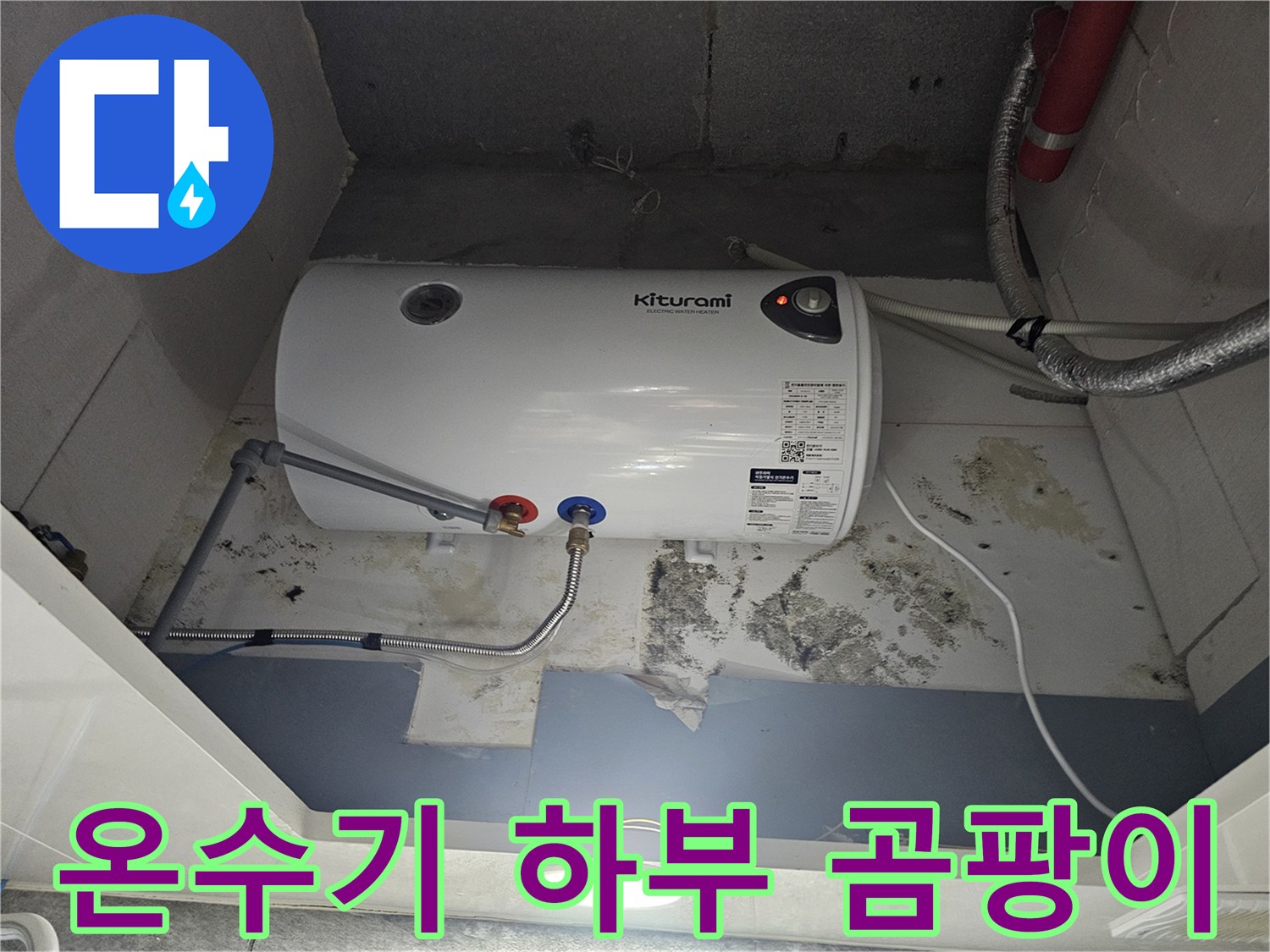 전기-온수기-하단-배관-연결부-주변-곰팡이-상태
