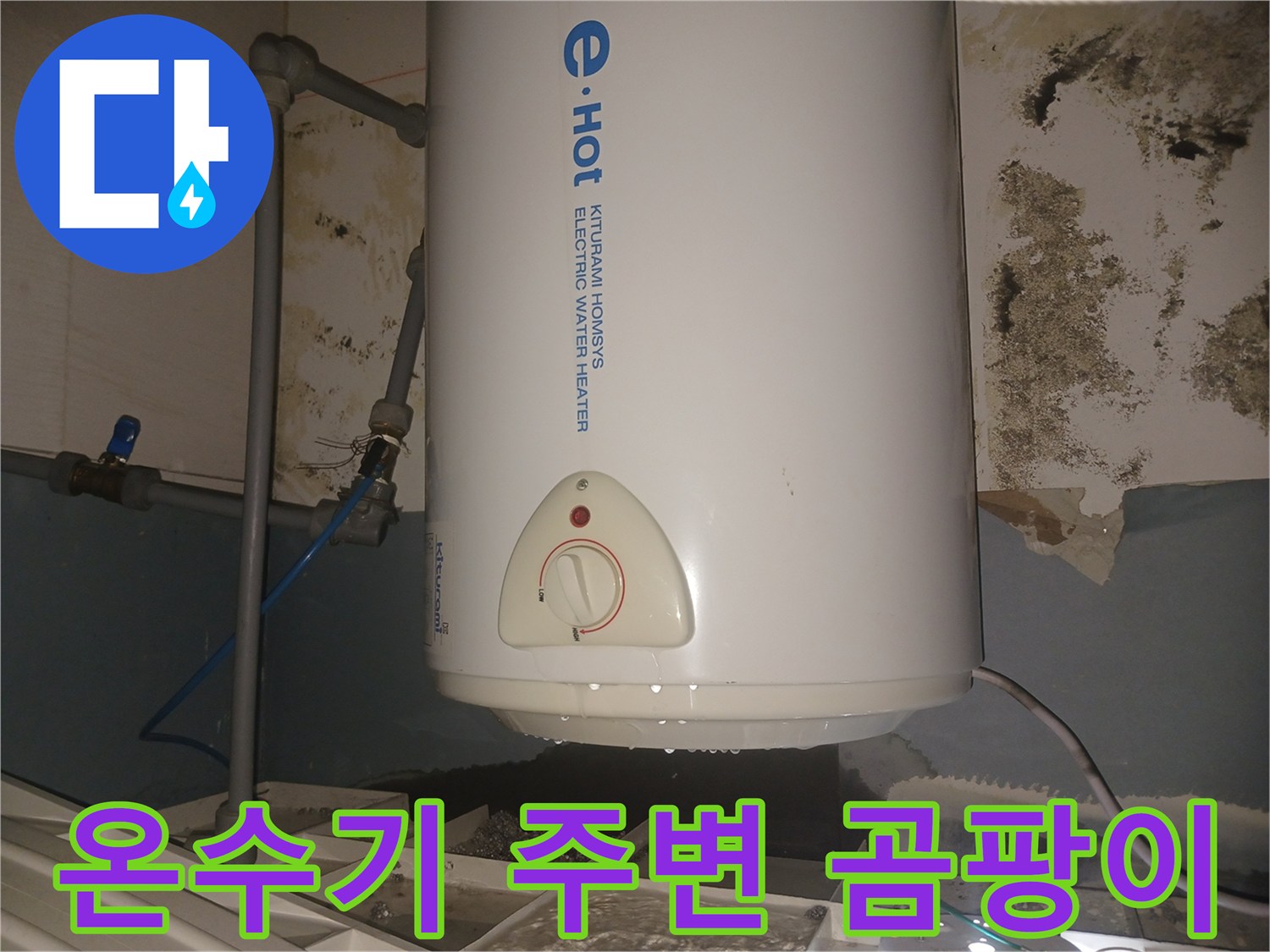 전기-온수기-하부-배관-주변의-심한-곰팡이와-습기 흔적