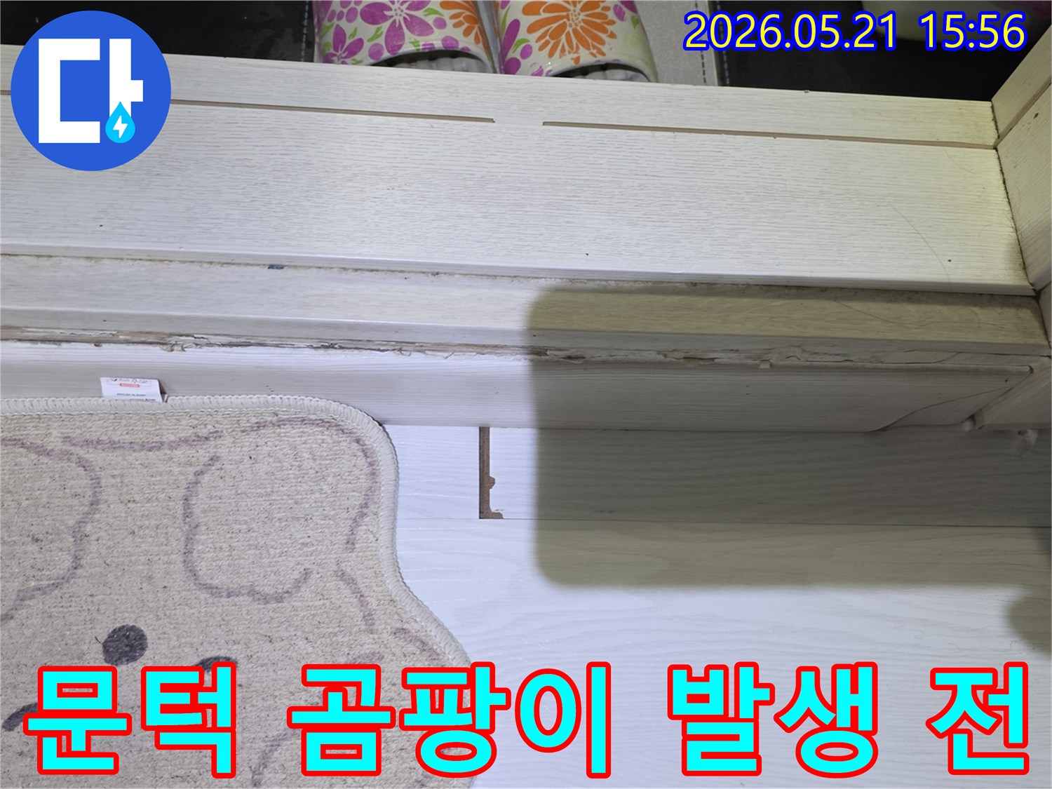 문턱-아래에-곰팡이가-발생하기-전에-누수-문제를-해결하기-위해-탐지하는-모습