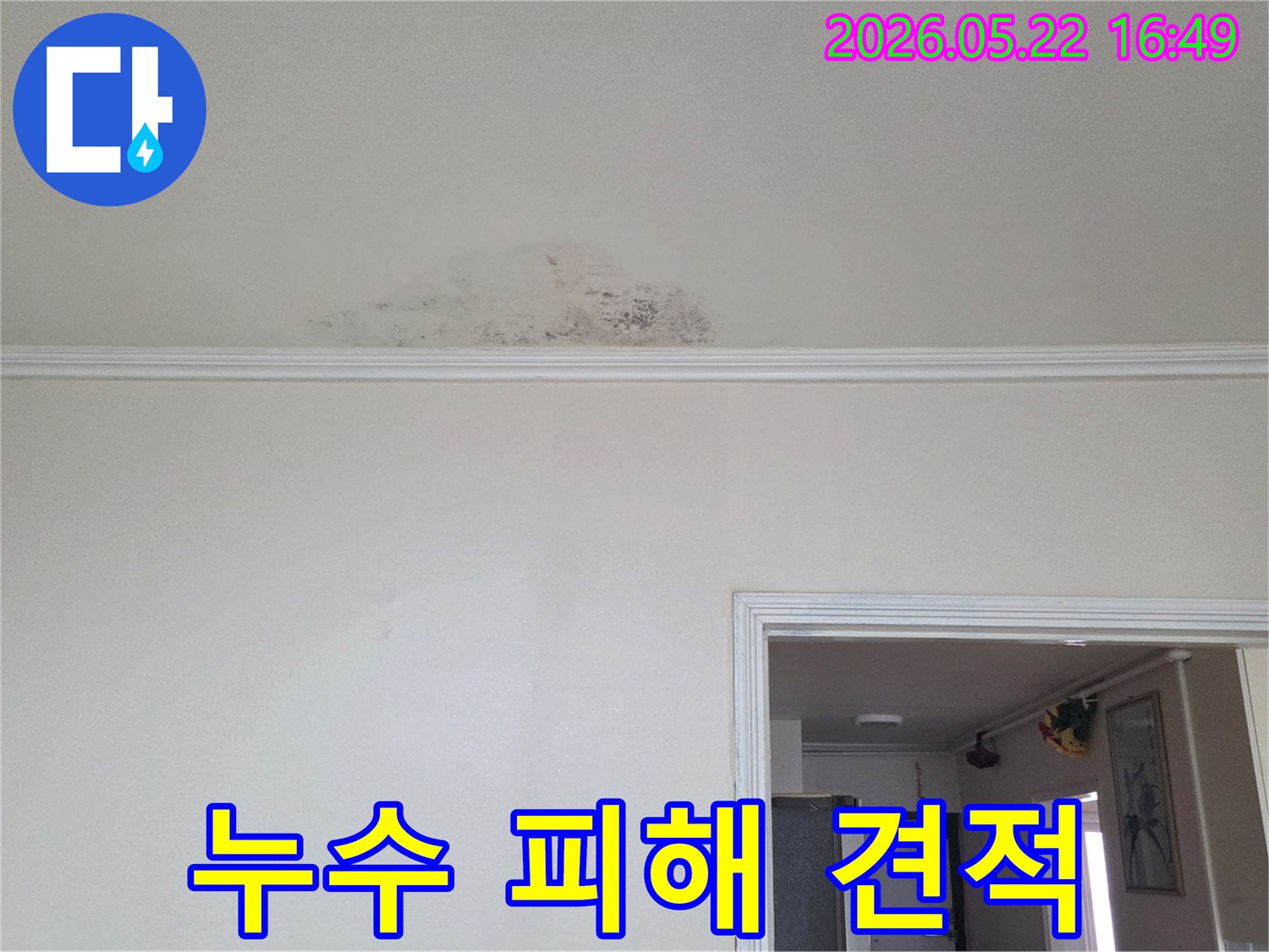 동두천-생연주공아파트-천장에-누수로-인해-생긴-물자국과-곰팡이-피해를-진단하고-견적을-내는-모습