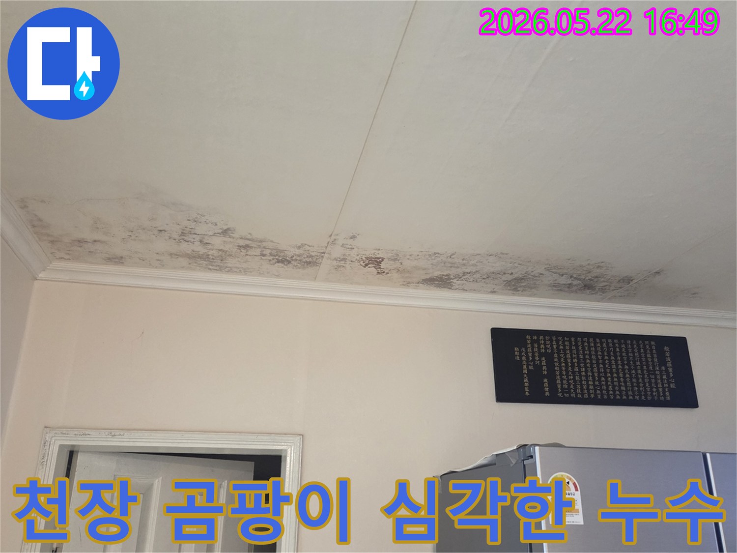 천장 한쪽에 넓게 퍼진-누수 흔적과-검은 곰팡이를-선명하게 보여줍니다
