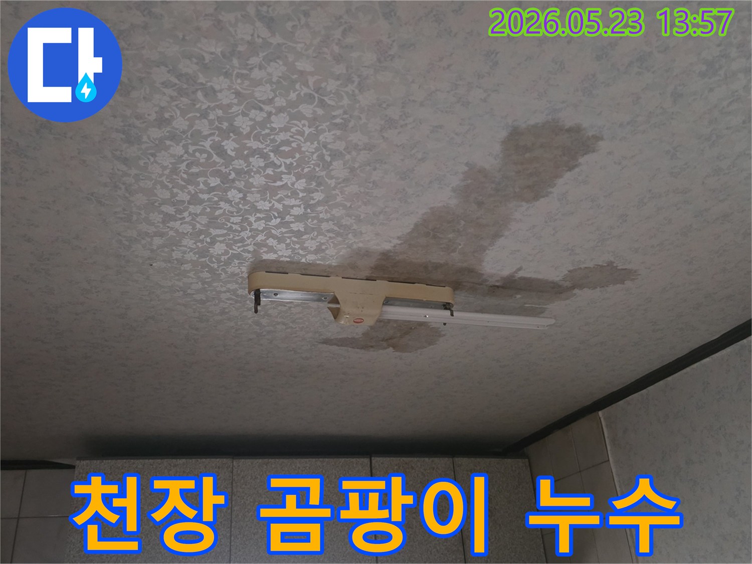 천장-곰팡이-누수-흔적-형광등-주변-물자국과-곰팡이-동시-발견