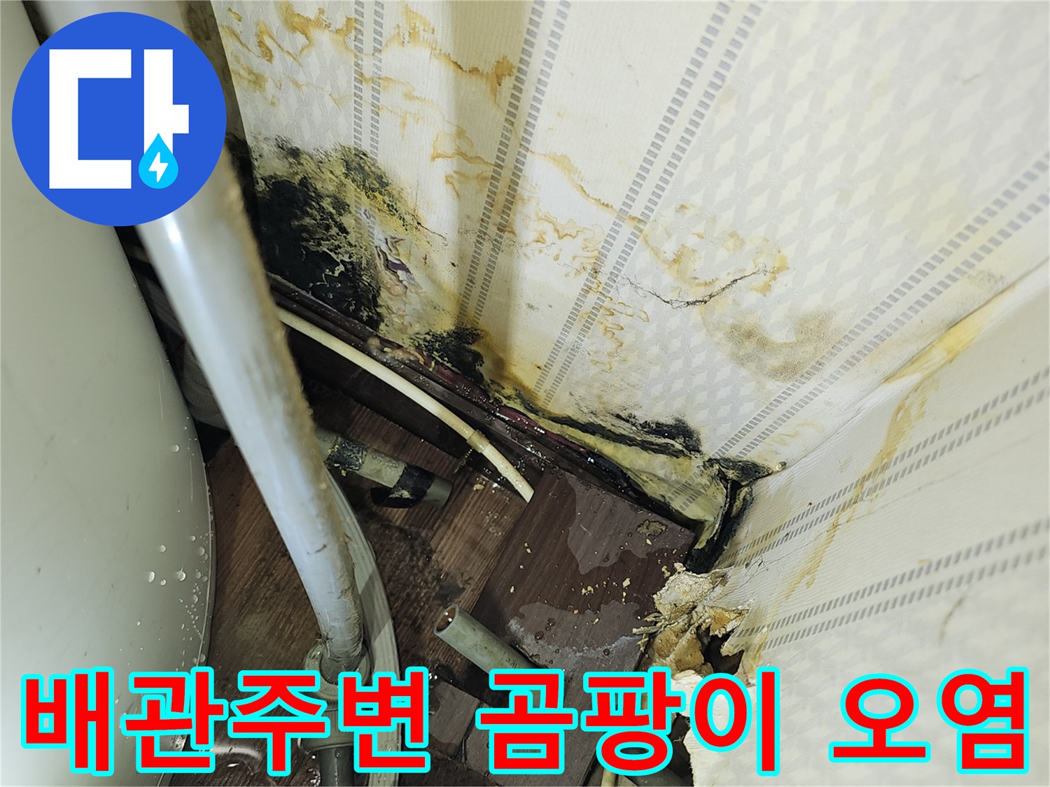 온수탱크-연결부위-벽지-오염-및-곰방이-발생-상태