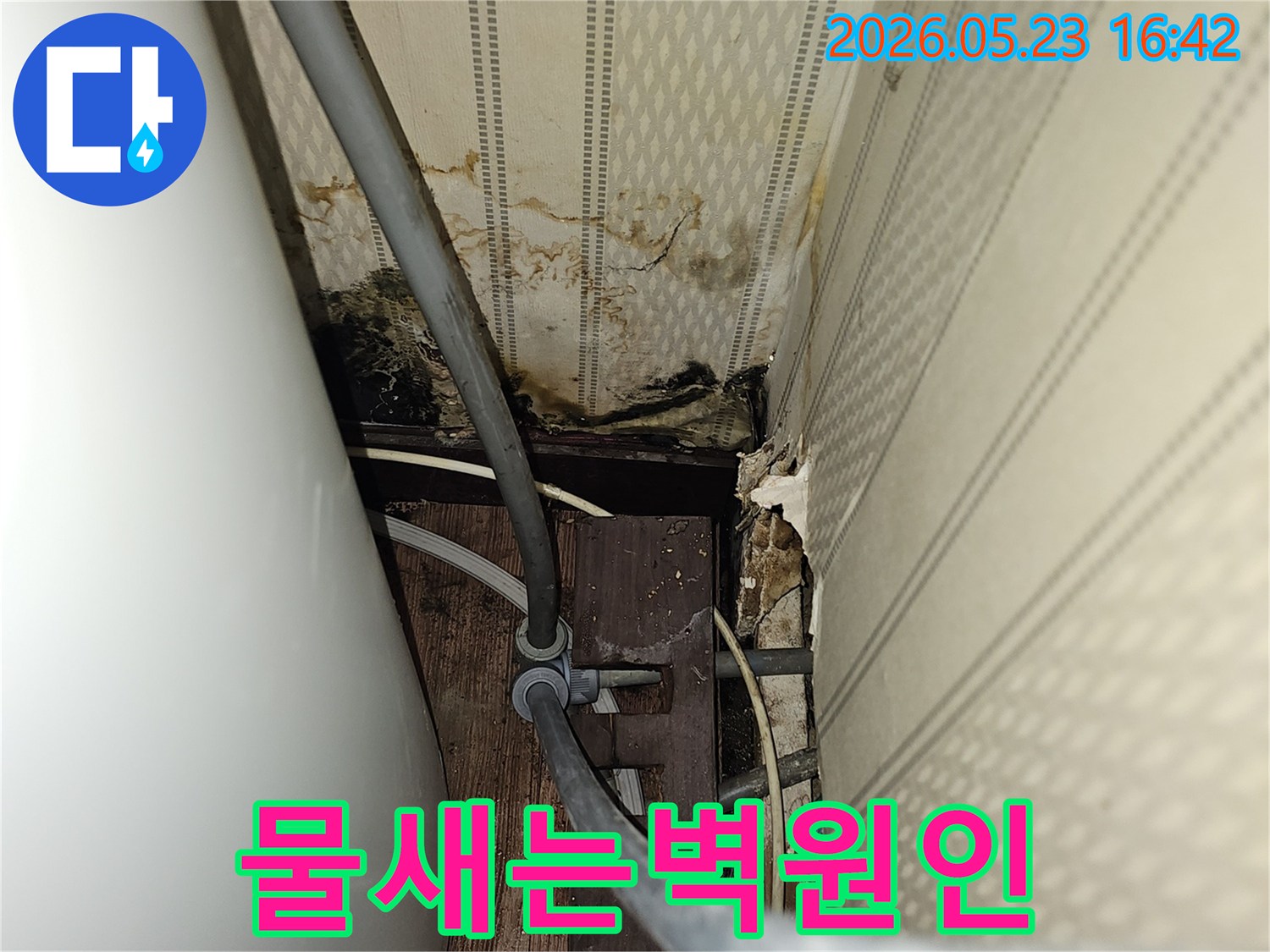 이 이미지는 벽면에서 물이 새어 나와-벽지가 손상되고 곰팡이가 번식한-심각한 누수 현장을 보여줍니다.
