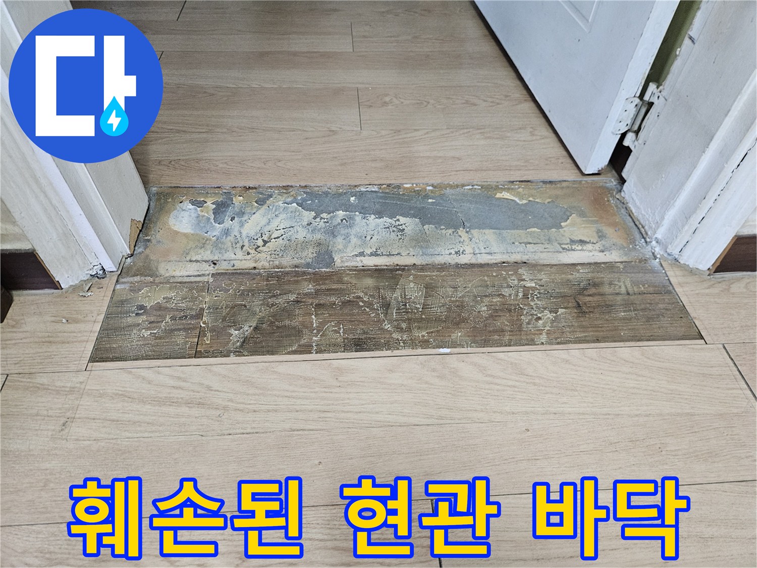 누수 영향으로 훼손된 현관 마루의 상세 모습