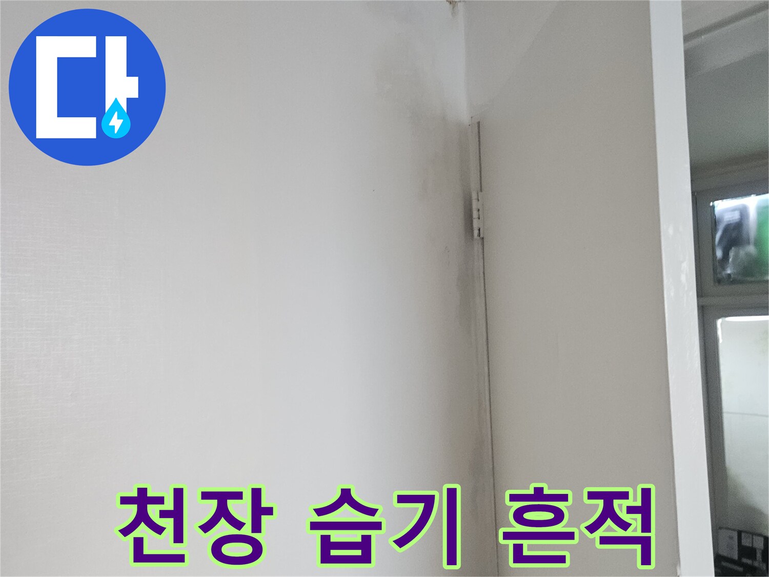현관 천장 구석의 어두운 얼룩 - 누수 피해 부위