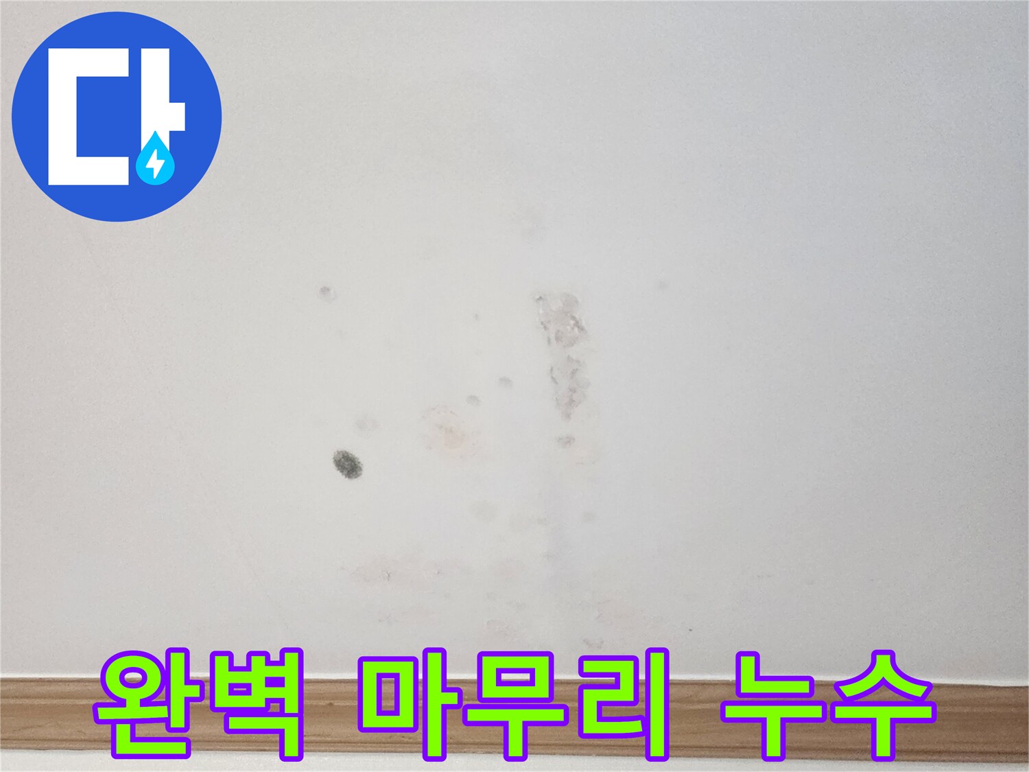 아파트 벽면에 발생한 누수 흔적을-누수 전문가가-정확한 진단부터 완벽한 마무리까지-책임지고 해결하는 모습