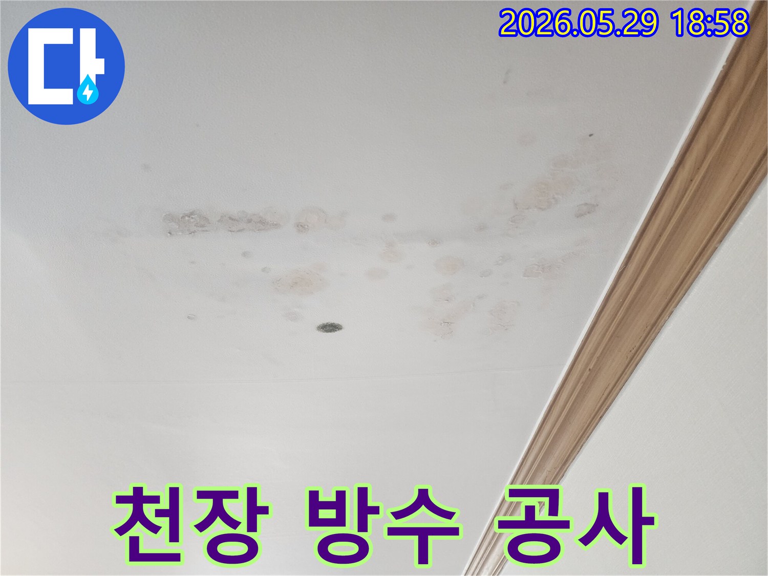 아파트-천장에-발생한-누수로-인한-곰팡이-및-오염-현상입니다.