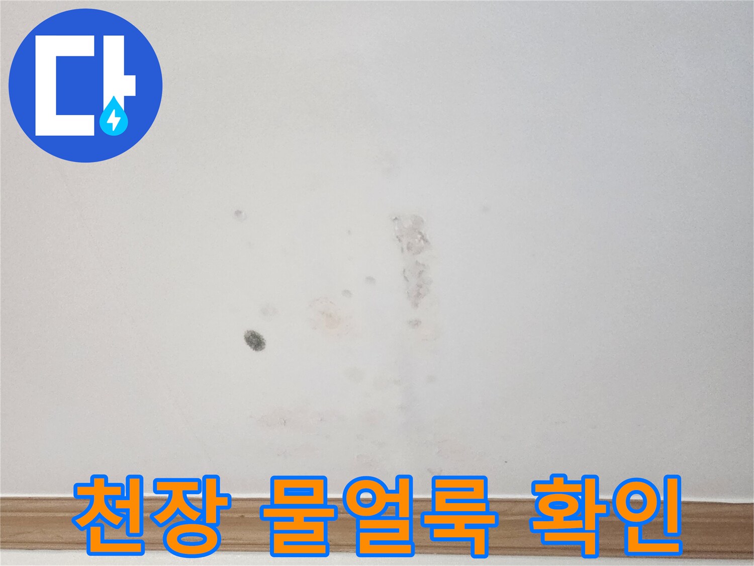 아파트 천장에 생긴 물얼룩을-누수 전문가가-육안으로 확인하며-초기 진단을 진행하는 사진