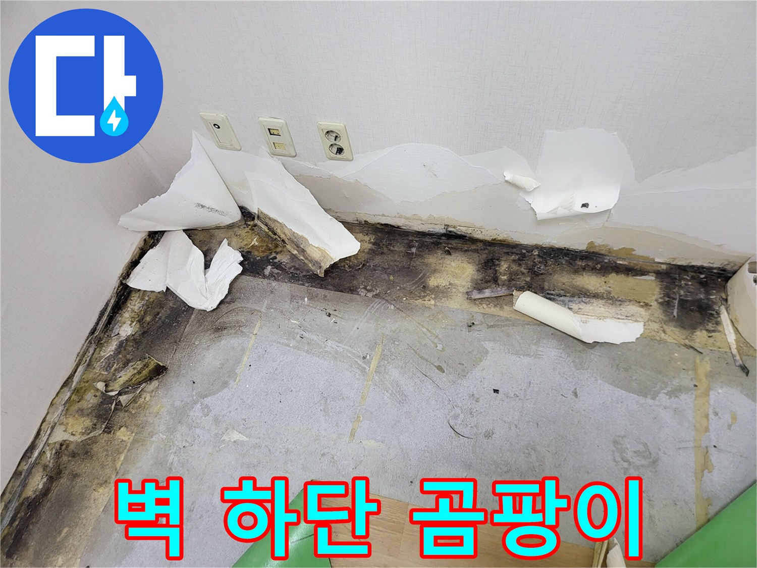 습기에 노출된-벽면과 콘센트 주변부