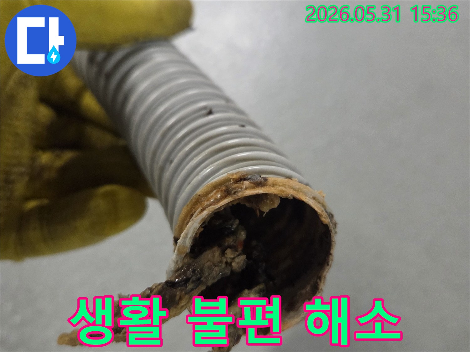 노란 장갑을 낀 작업자의 손이-오염된 배수관을 들고-문제 해결을 준비하고 있습니다.