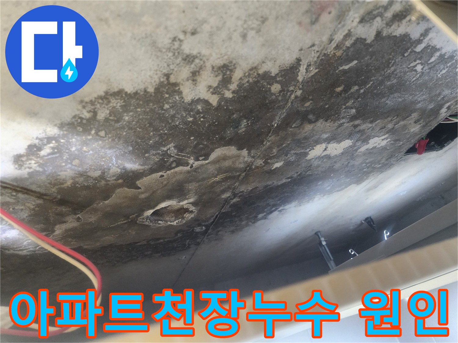 아파트 아랫집 천장에 발생한 누수 흔적-곰팡이와 물자국이 윗집으로부터의 누수를 명확히 보여주는 현장 사진입니다.