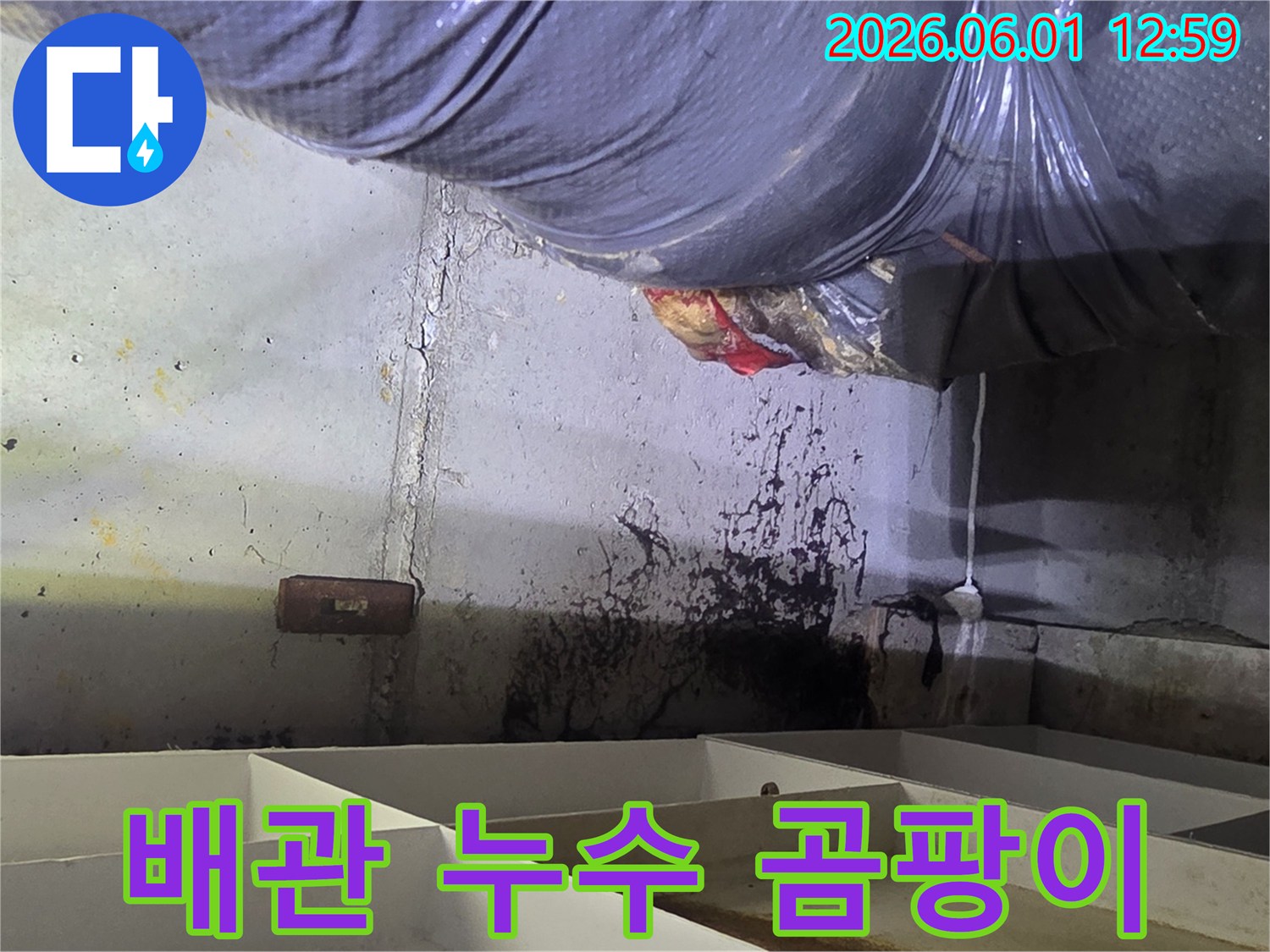 배관 누수로-인해-벽면에-발생한-심각한-곰팡이와-오염을-누수 전문가가-확인하는-모습입니다.