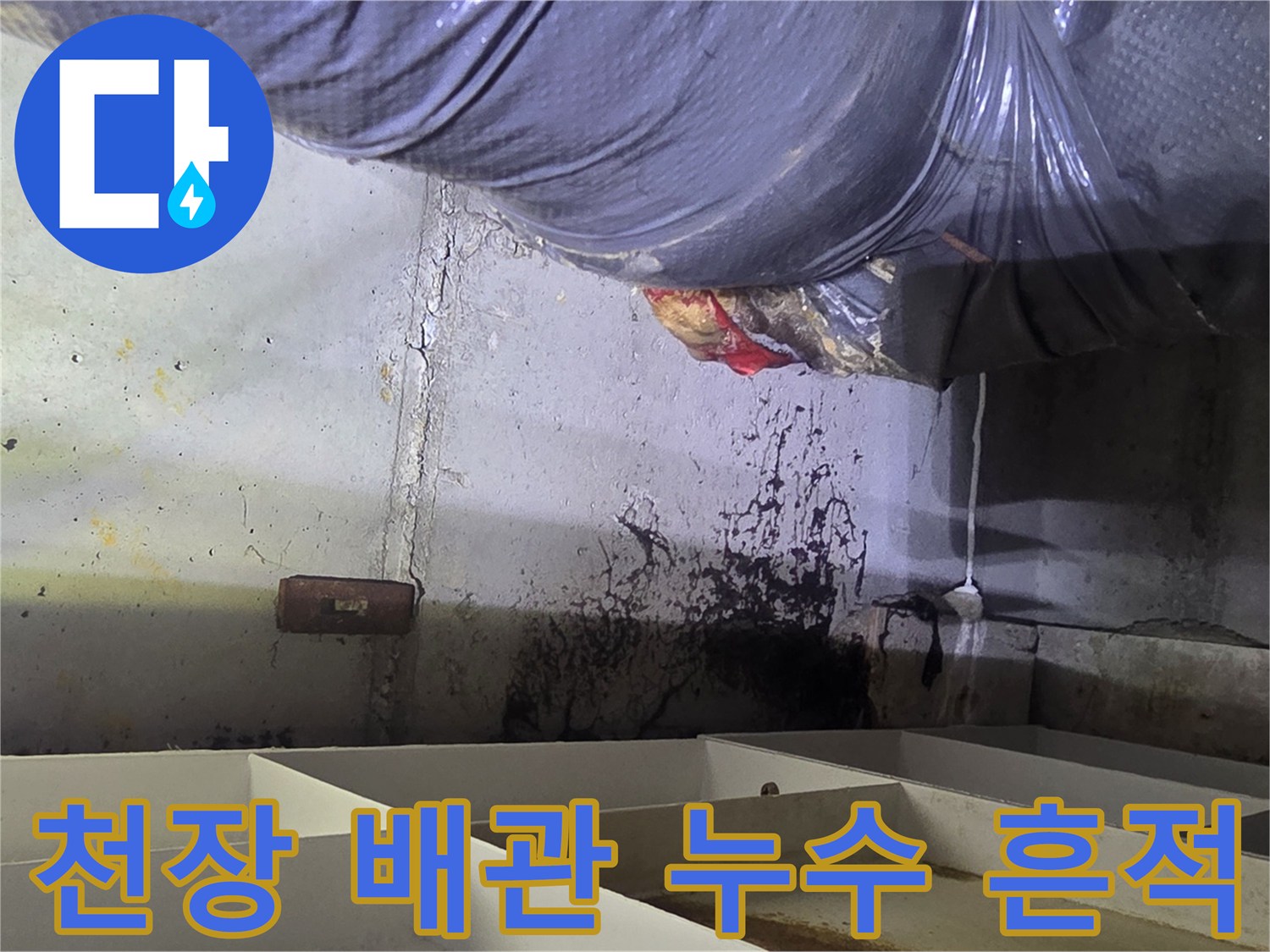보온재로 감싸진 천장 배관 주변의 젖은 흔적과 얼룩