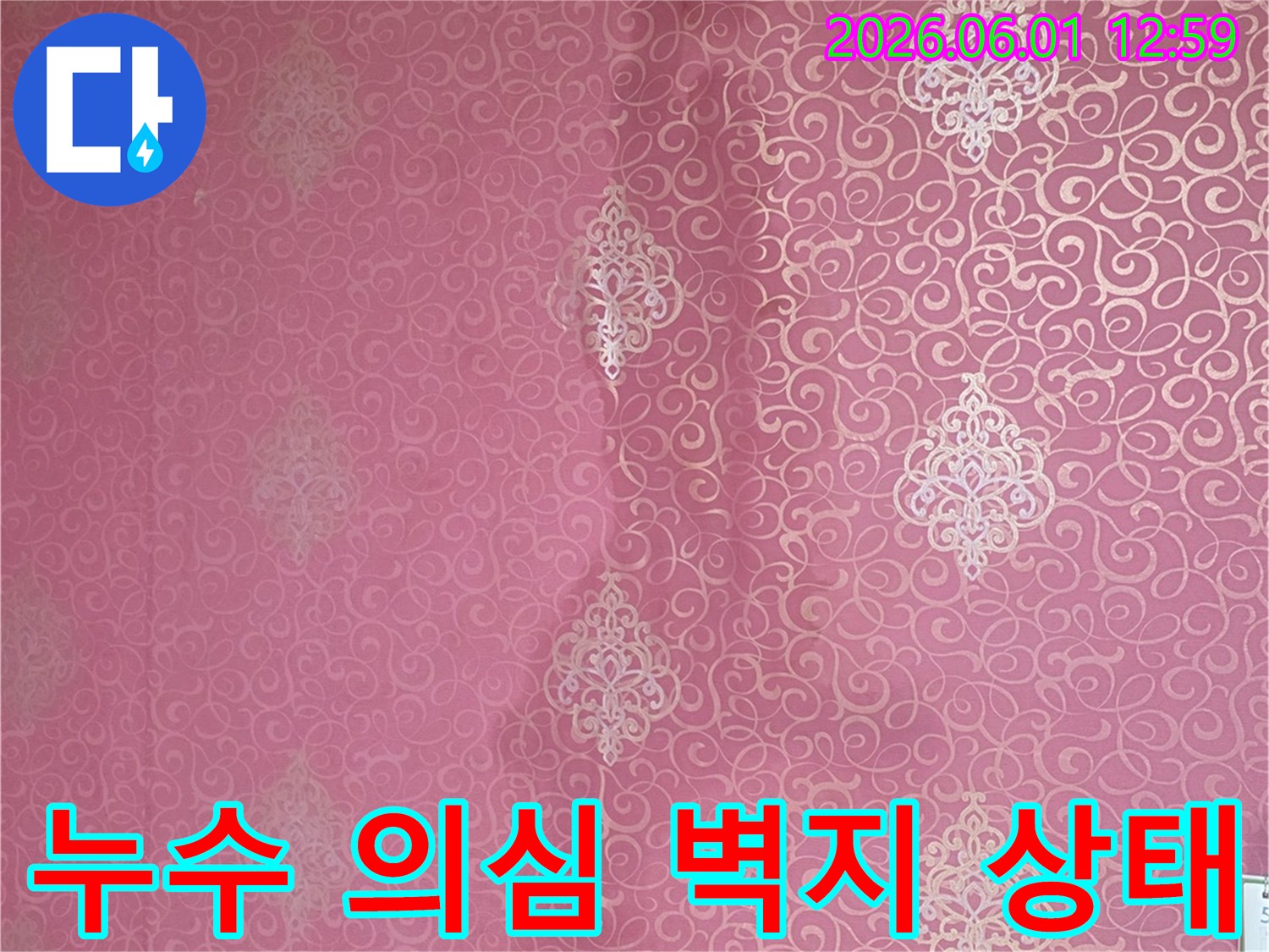 습기 찬 벽지 상태-미세 누수 진단을 위한 초기 단계