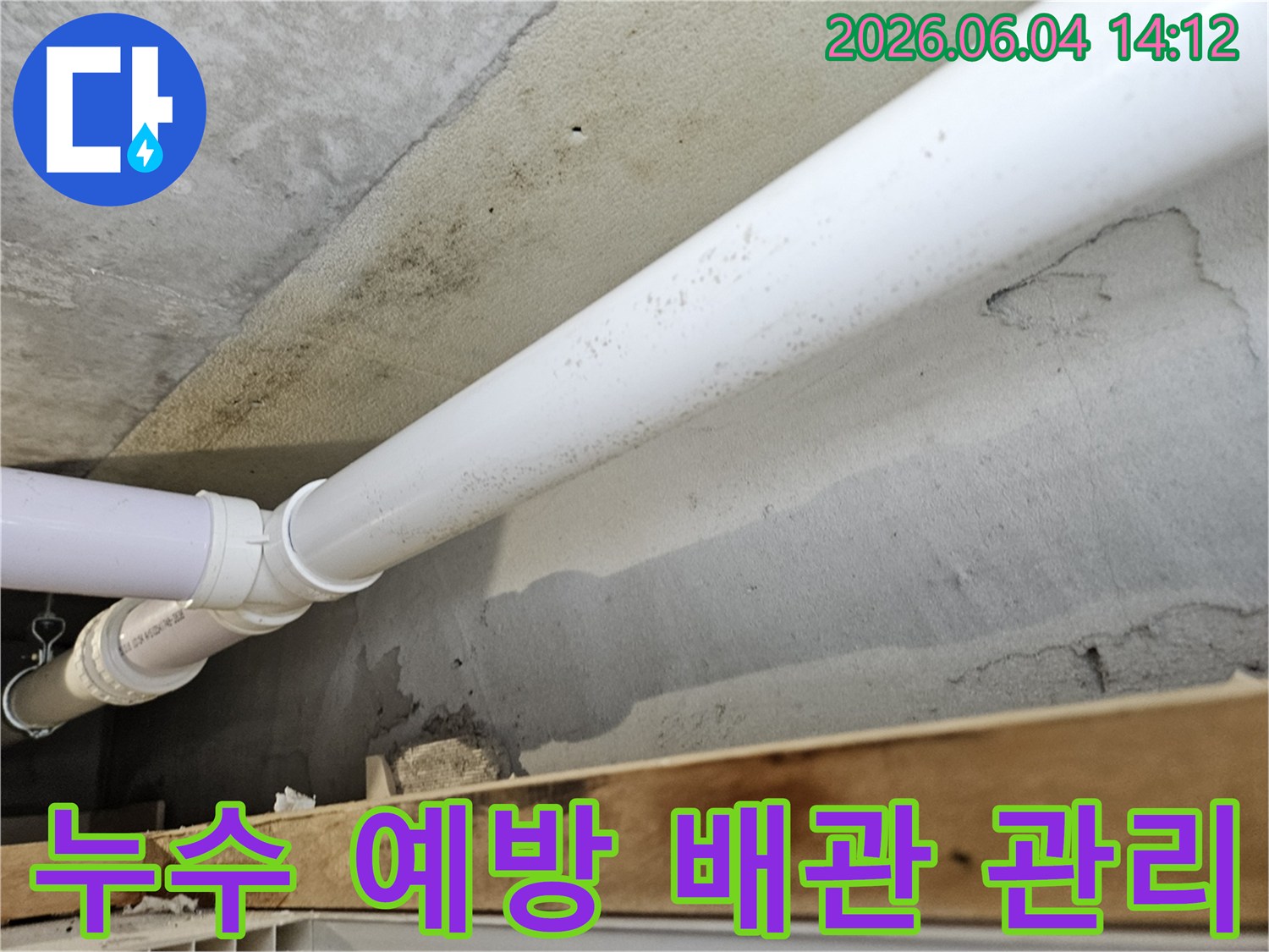 천장-콘크리트-벽면에-설치된-배관-주변으로-누수가-발생하여-곰팡이가-생긴-현장에서-향후-누수-예방-및-배관-관리의-중요성을-강조하는-모습