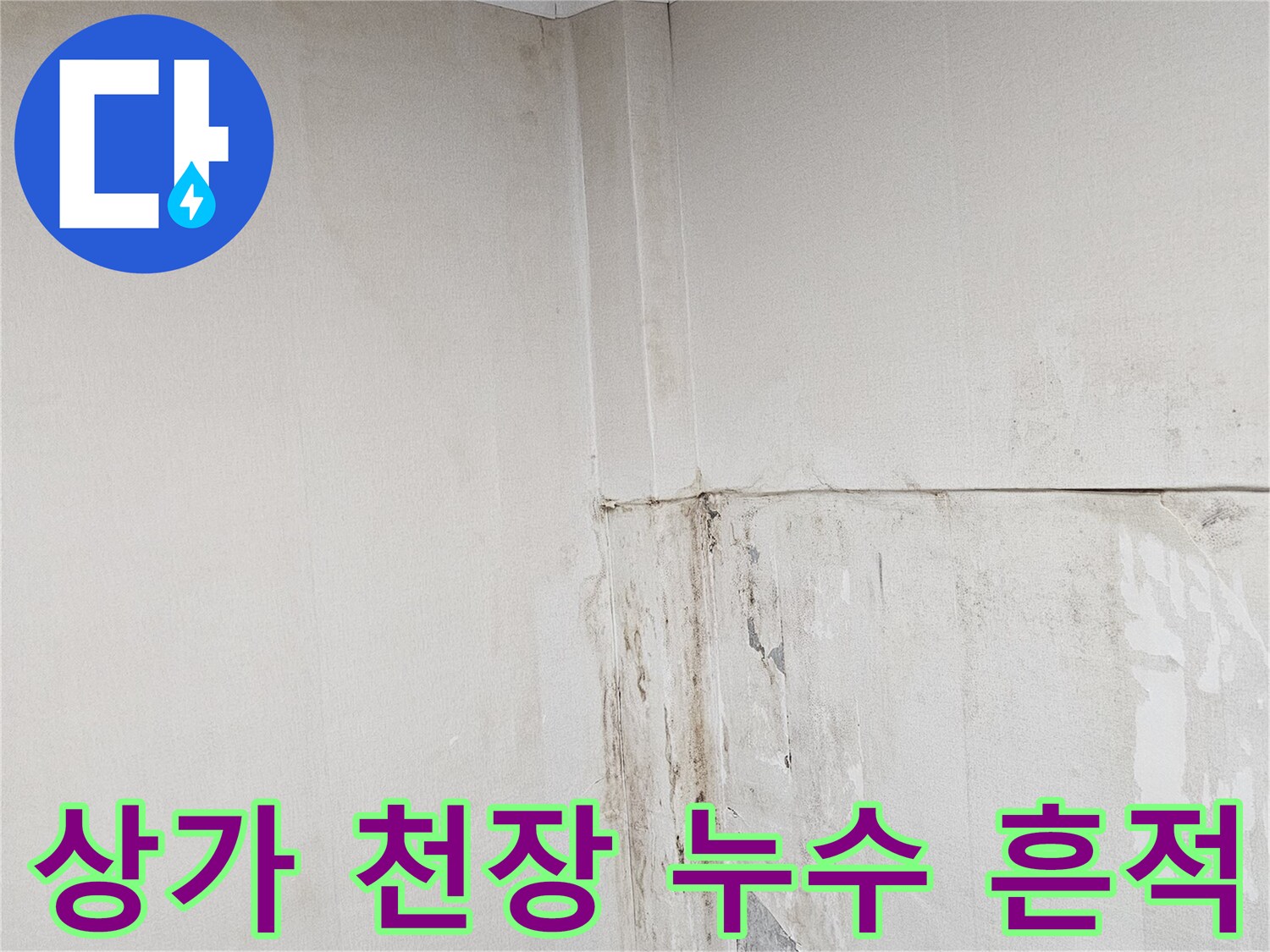 용인 수지구 상가 건물의 젖은 천장과 벽면 곰맨이 피어있는 모습