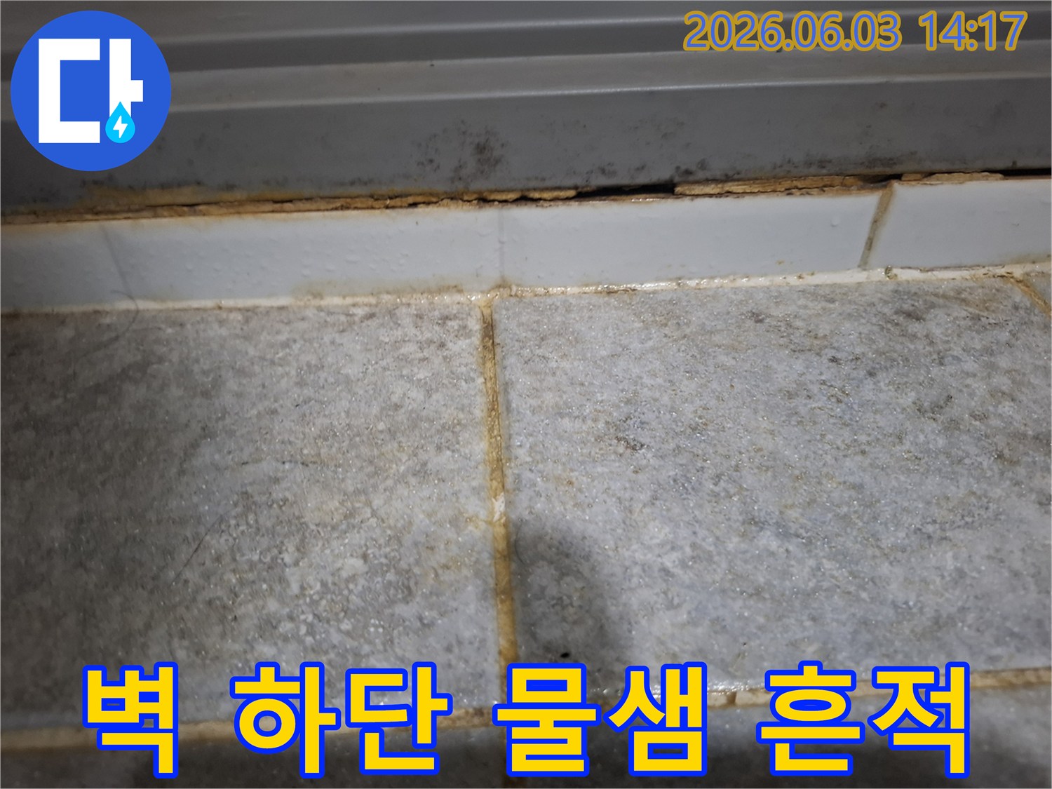 벽면 하단 타일 틈새에서 물이 새어 나와-오염과 부식이 진행된 상태를 보여줍니다