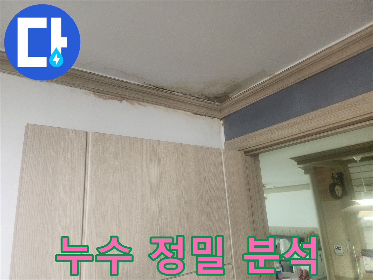 천장-모서리에-발생한-누수-얼룩과-곰팡이-피해를-정밀하게-분석하여-원인을-찾아야-합니다.
