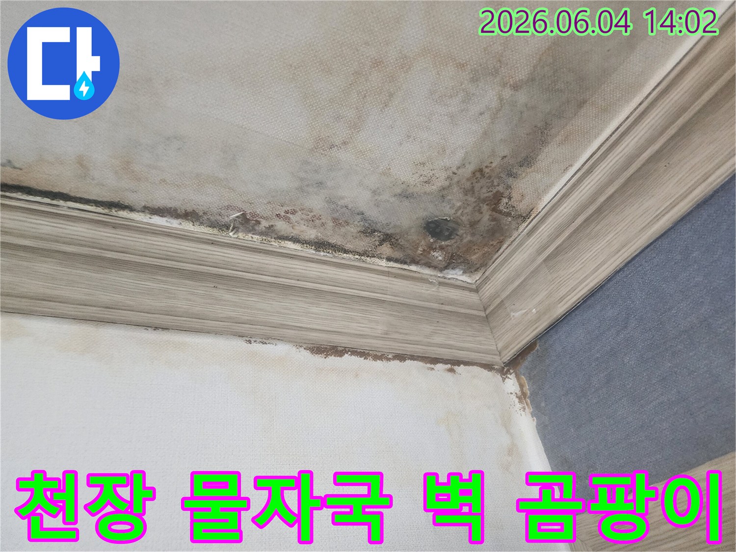 천장과 벽이 만나는 모서리 부분에-누수로 인한 물자국과-검은 곰팡이가 넓게 퍼져있는-피해 현장의 상세 이미지