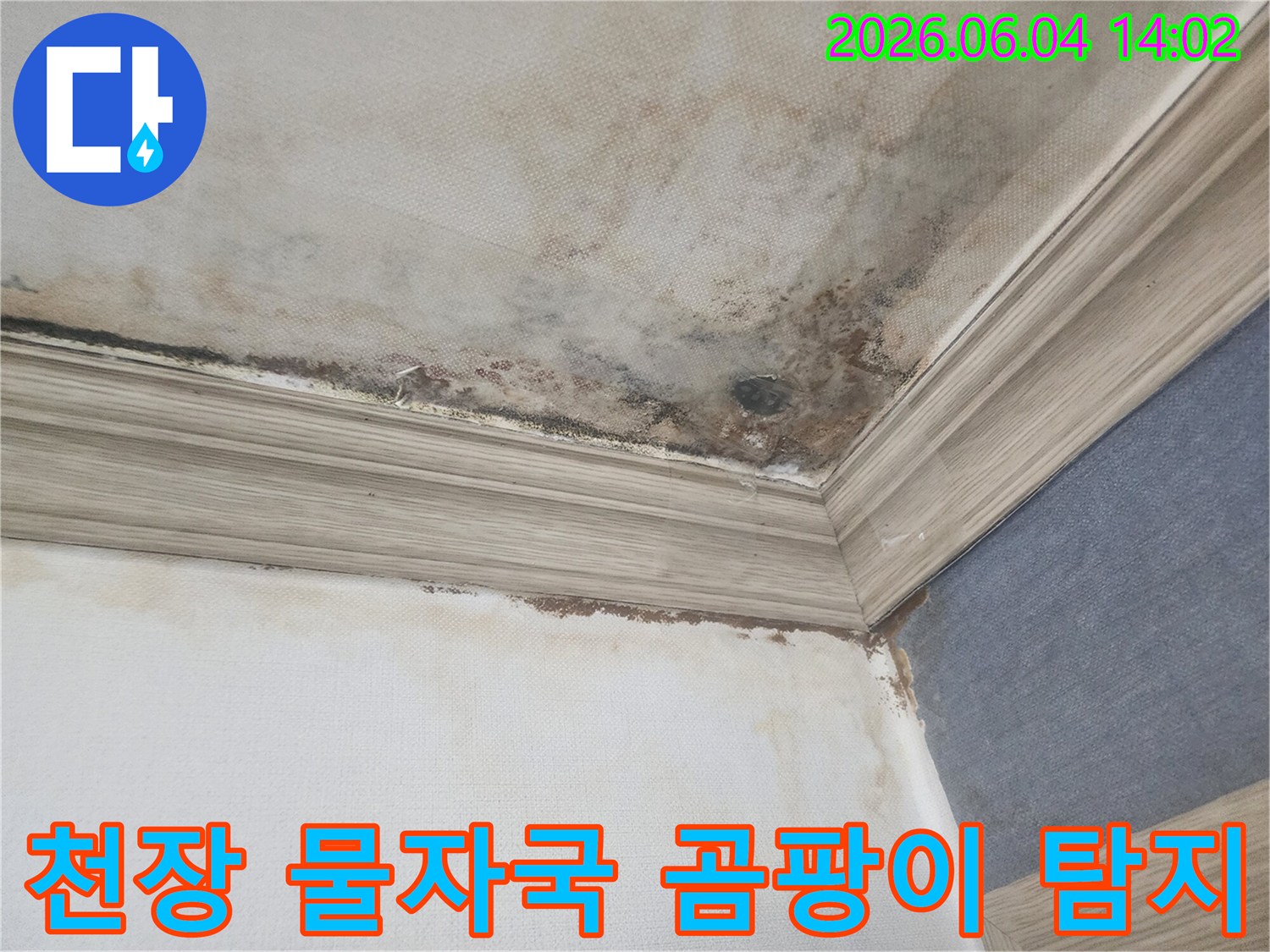 천장과 벽이 만나는 모서리 부분에-누수로 인한 물자국과-검은 곰팡이가 넓게 퍼져있는-피해 현장의 상세 이미지