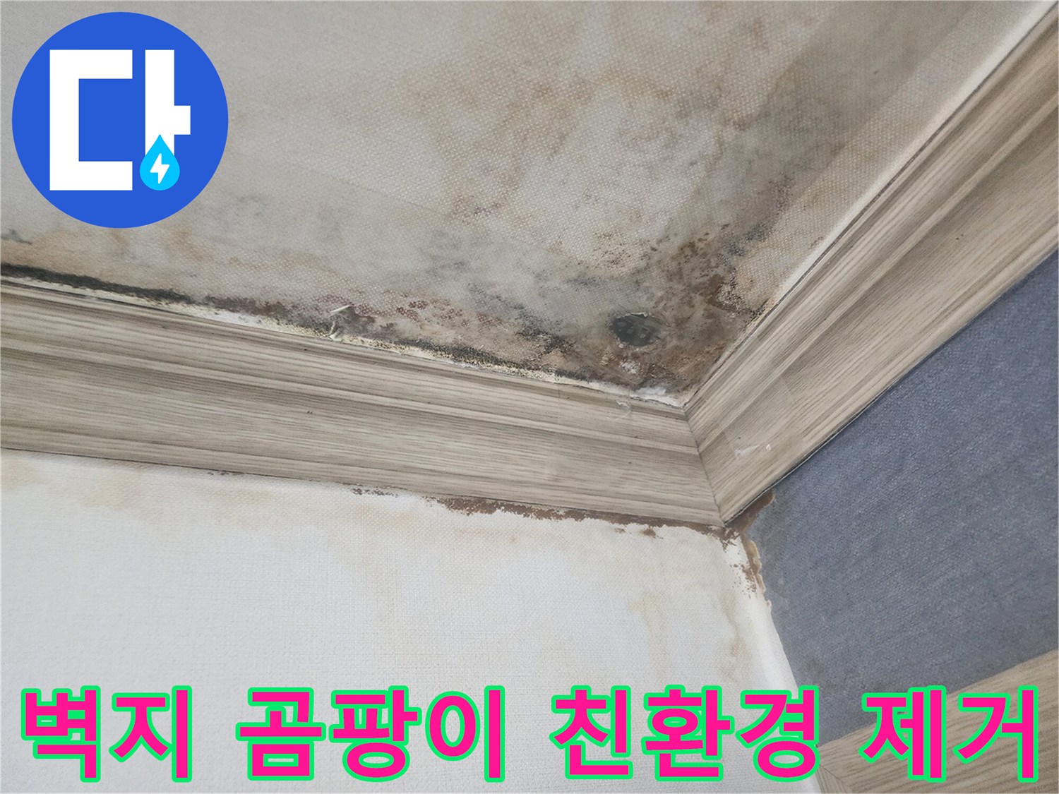 평택 빌라의 벽지에 발생한 곰팡이와-누수 흔적은-정확한 진단과-친환경 곰팡이 제거가 필요한 상황을 보여줍니다.