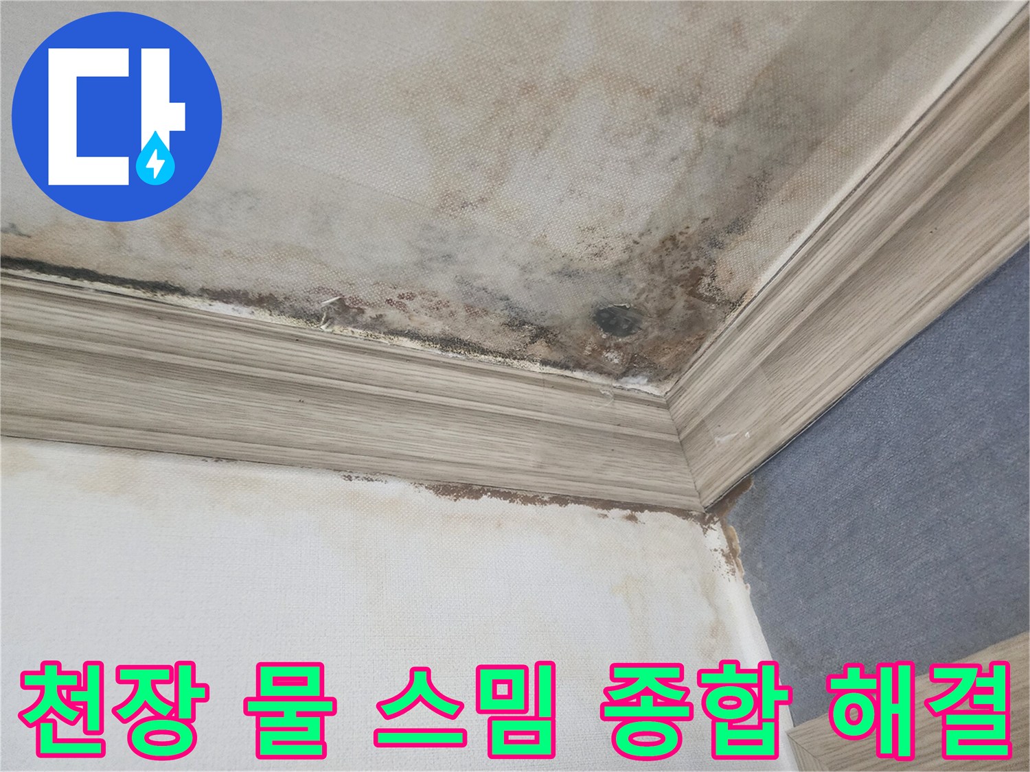 평택 아파트 천장에 물이 스며들어-곰팡이가 번진 현장에서-종합적인 누수 해결책을 제시하고-공사를 진행합니다.