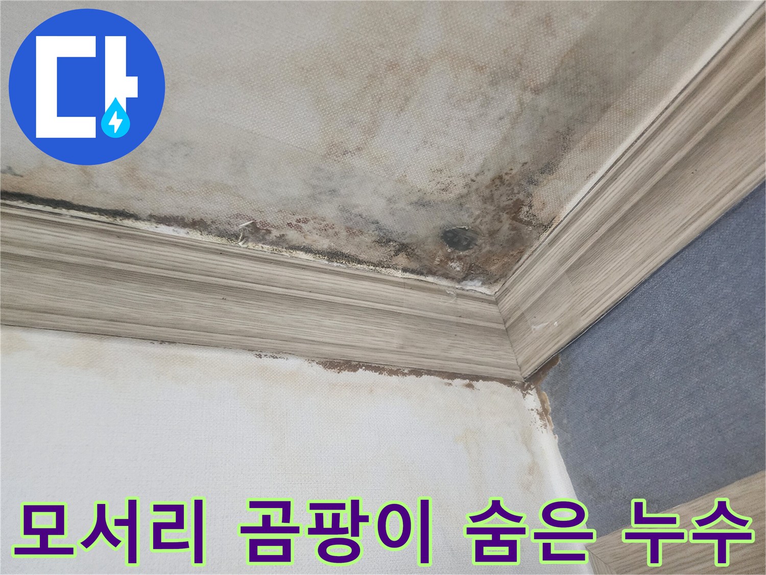 평택의 천장 모서리에 발생한 곰팡이는-숨어있는 누수의 강력한 증거로-정밀한 누수탐지가 시급합니다.