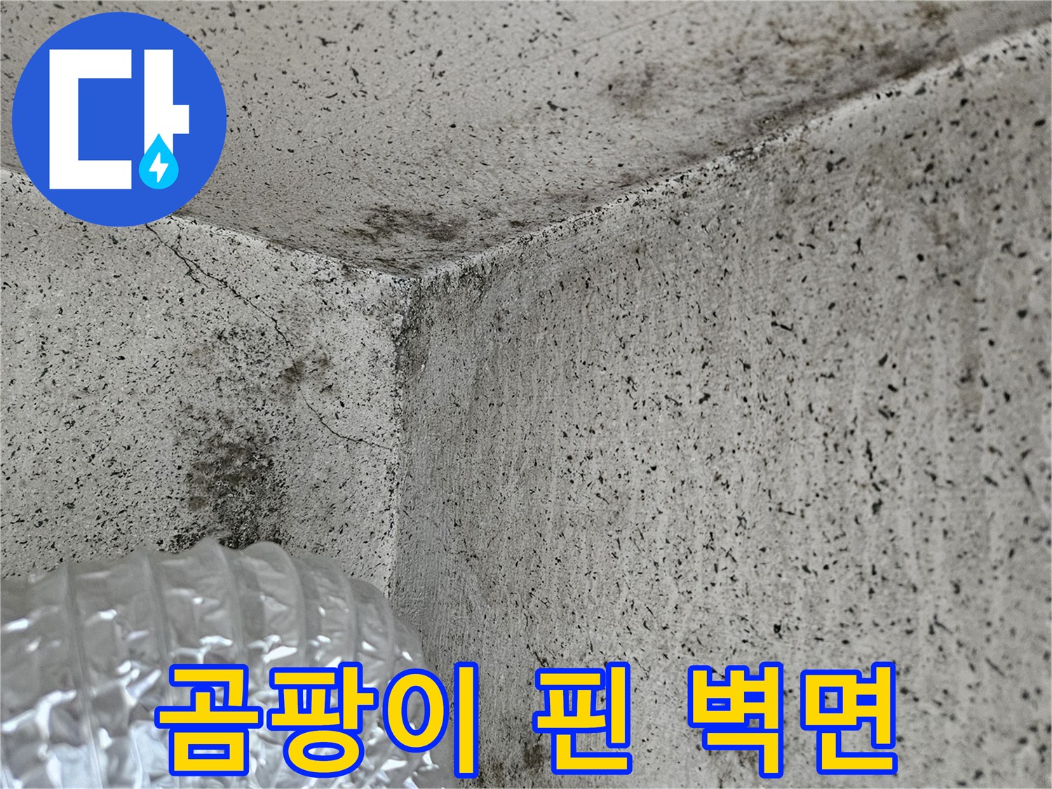 곰팡이와 얼룩이 심한 베란다 구석 모서리