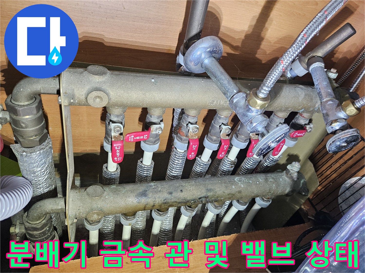 금속제 분배기 관과 연결된 유연한 호스들